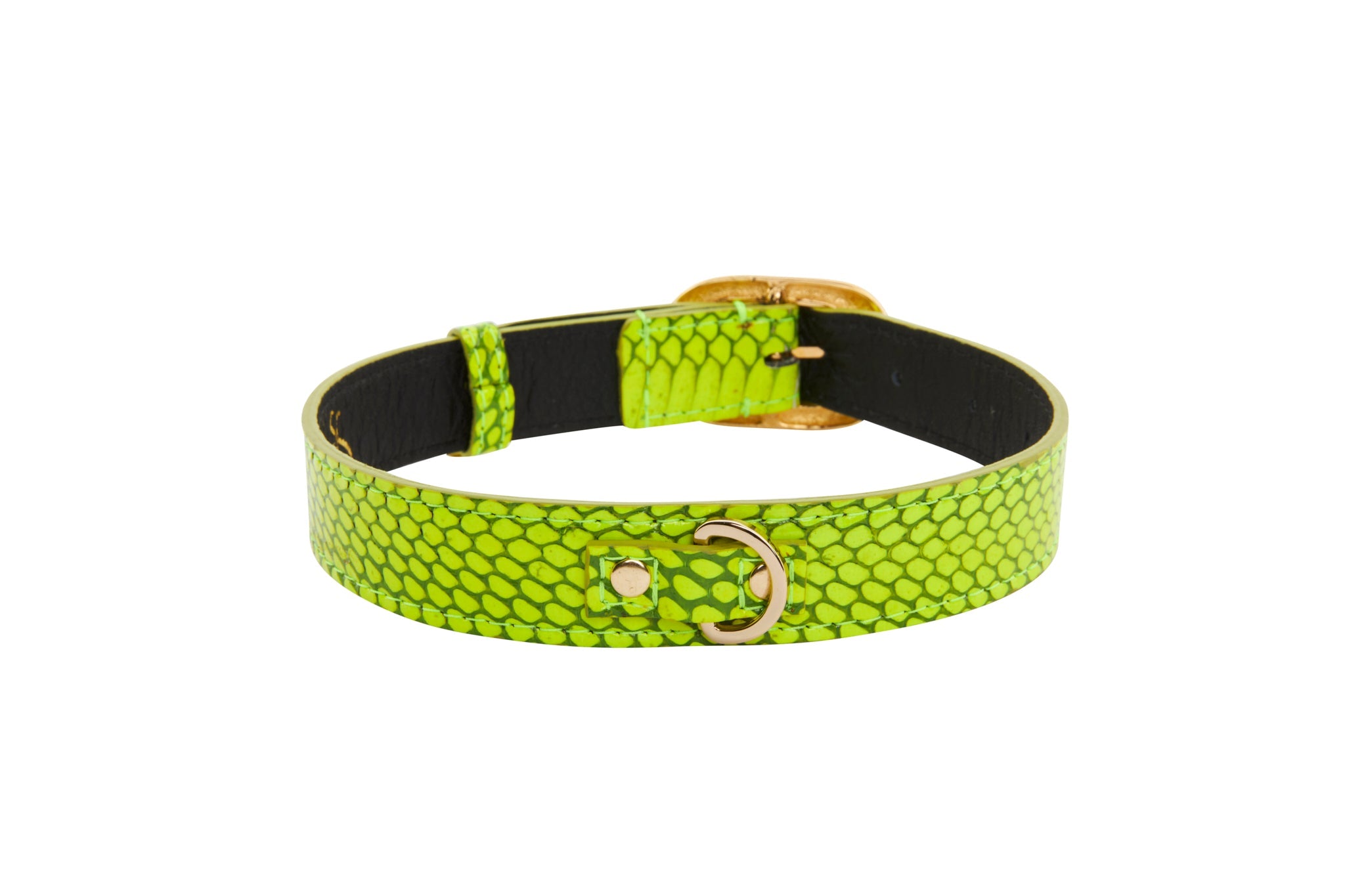 Neon Green Snake/Vintage Black & Gold Italian Hardware Collar