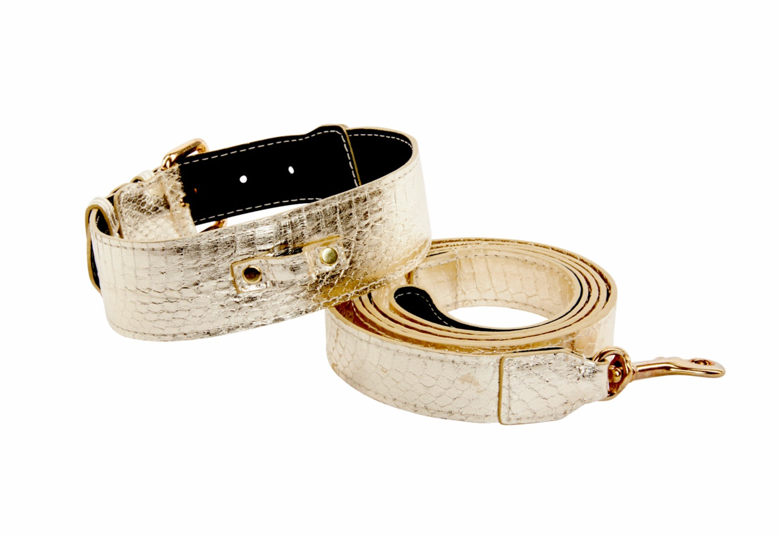 Gold Snake Collar & Leash Set With Classic Hardware by Allysa Payne Beverly Hills - product image 2 for Resin Society