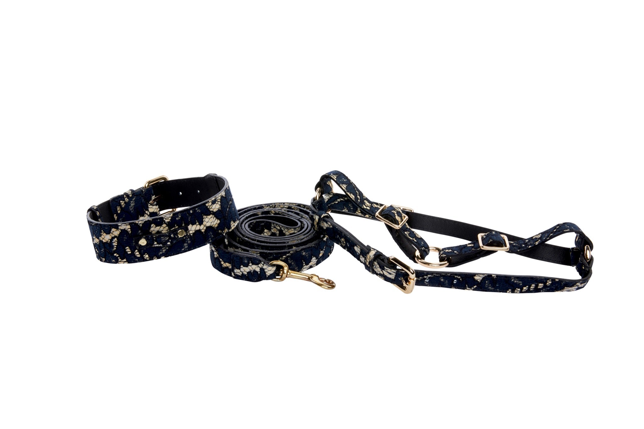 Dark Navy Lace On Gold Italian Leather Classic Collar