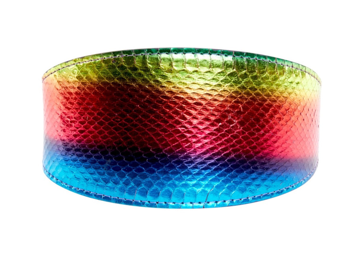 Pride Collection.
Rainbow Snake 3” Wide Style Collar