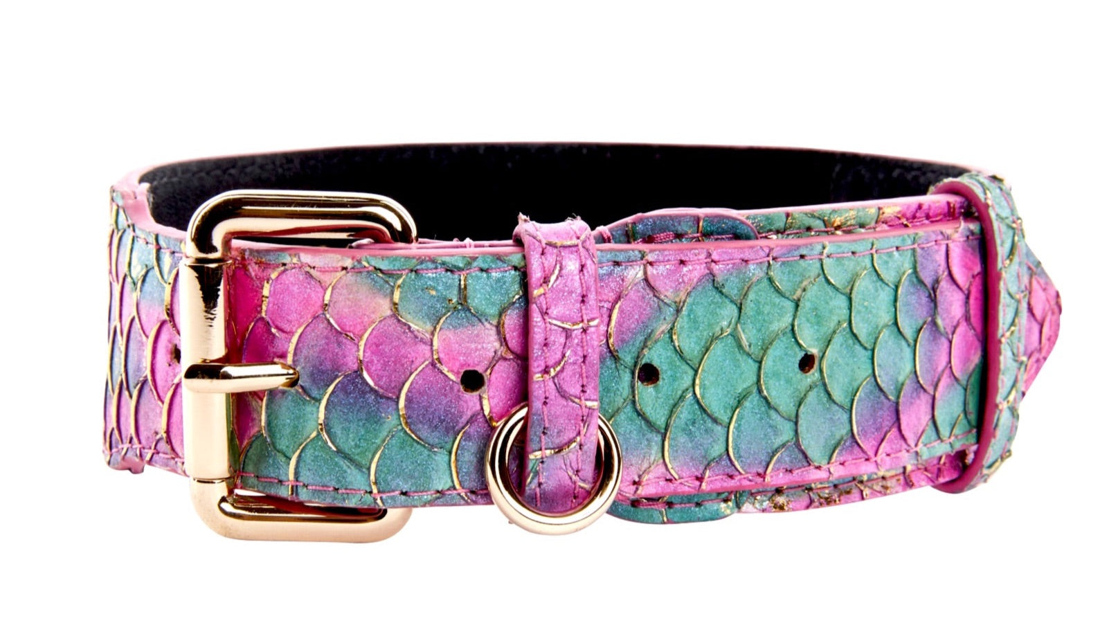Luxury pet collar made from custom colored Tilapia with gold hardware on a neutral backdrop