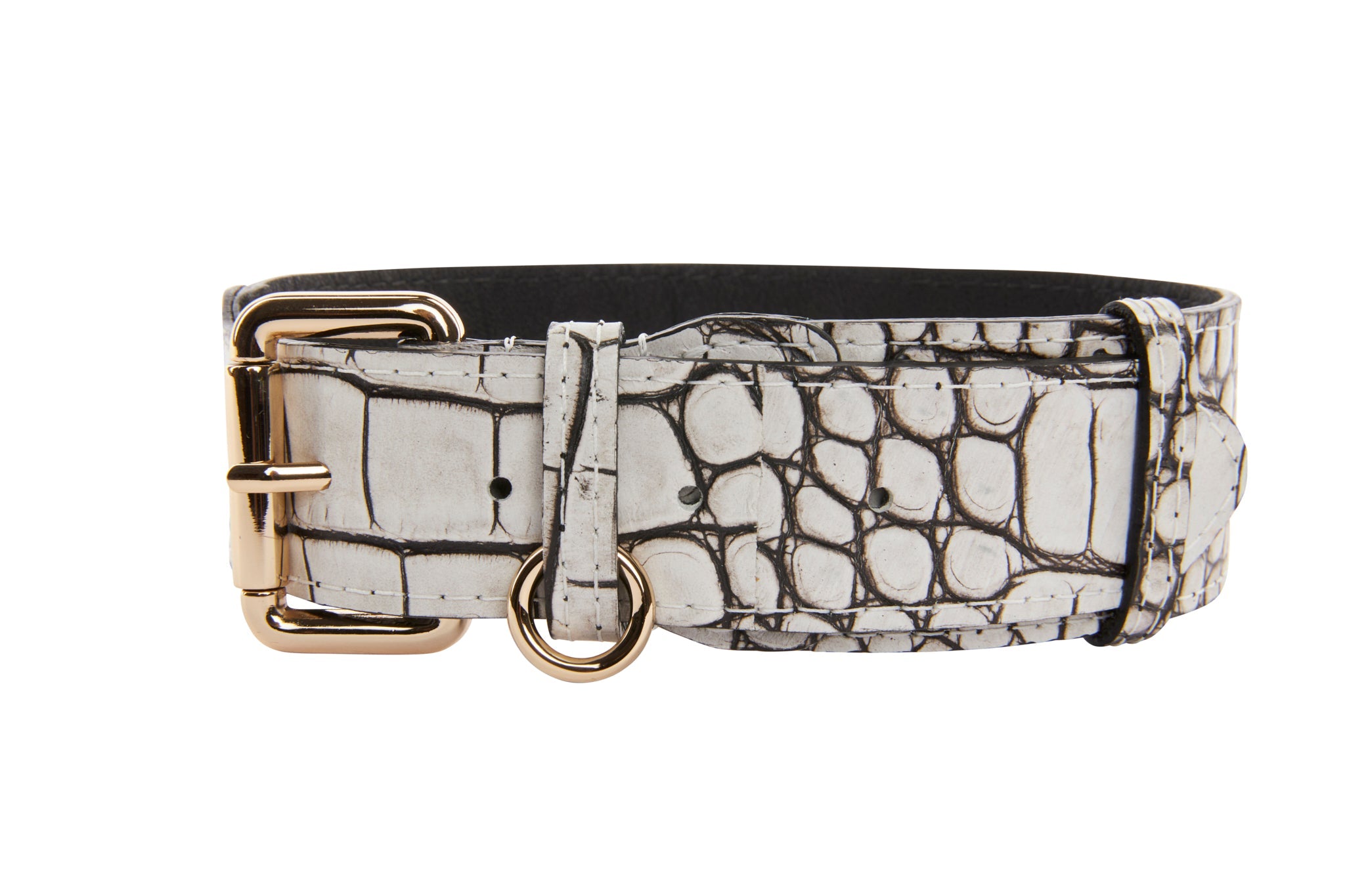 Dark Brown/Off White Embossed Croc Italian Leather Classic Collar With by Allysa Payne Beverly Hills - main product image for Resin Society