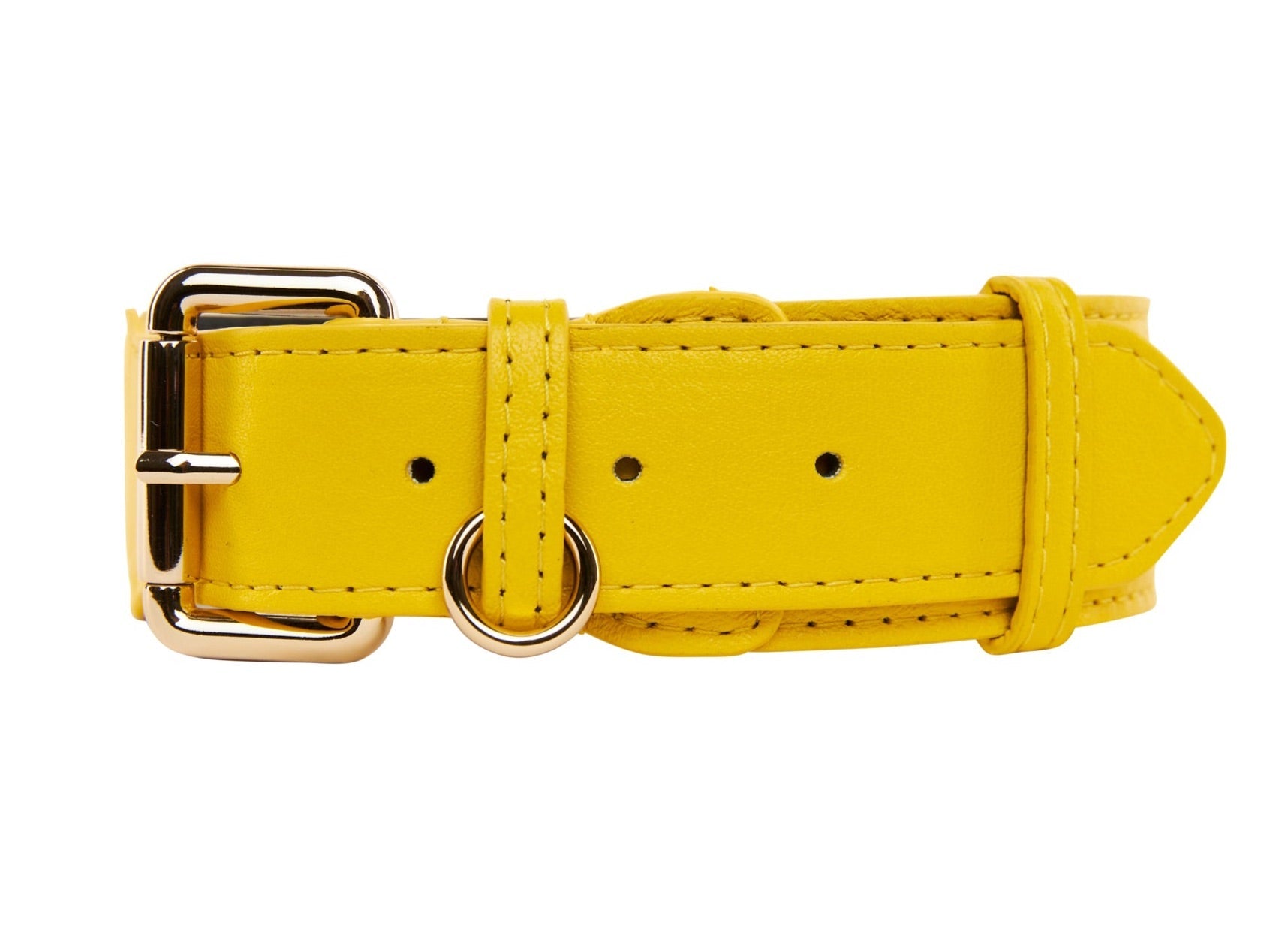 Yellow Italian Leather Classic Collar/Gold Classic Hardware by Allysa Payne Beverly Hills - main product image for Resin Society