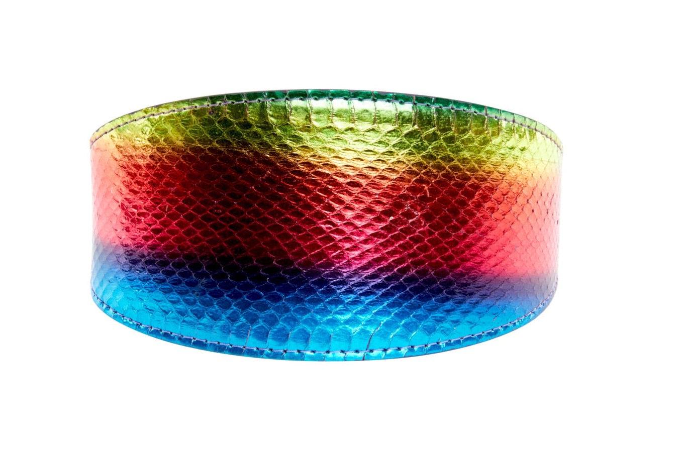 Rainbow snake design 3 inch wide pet collar from Allysa Payne Beverly Hills Pride Collection