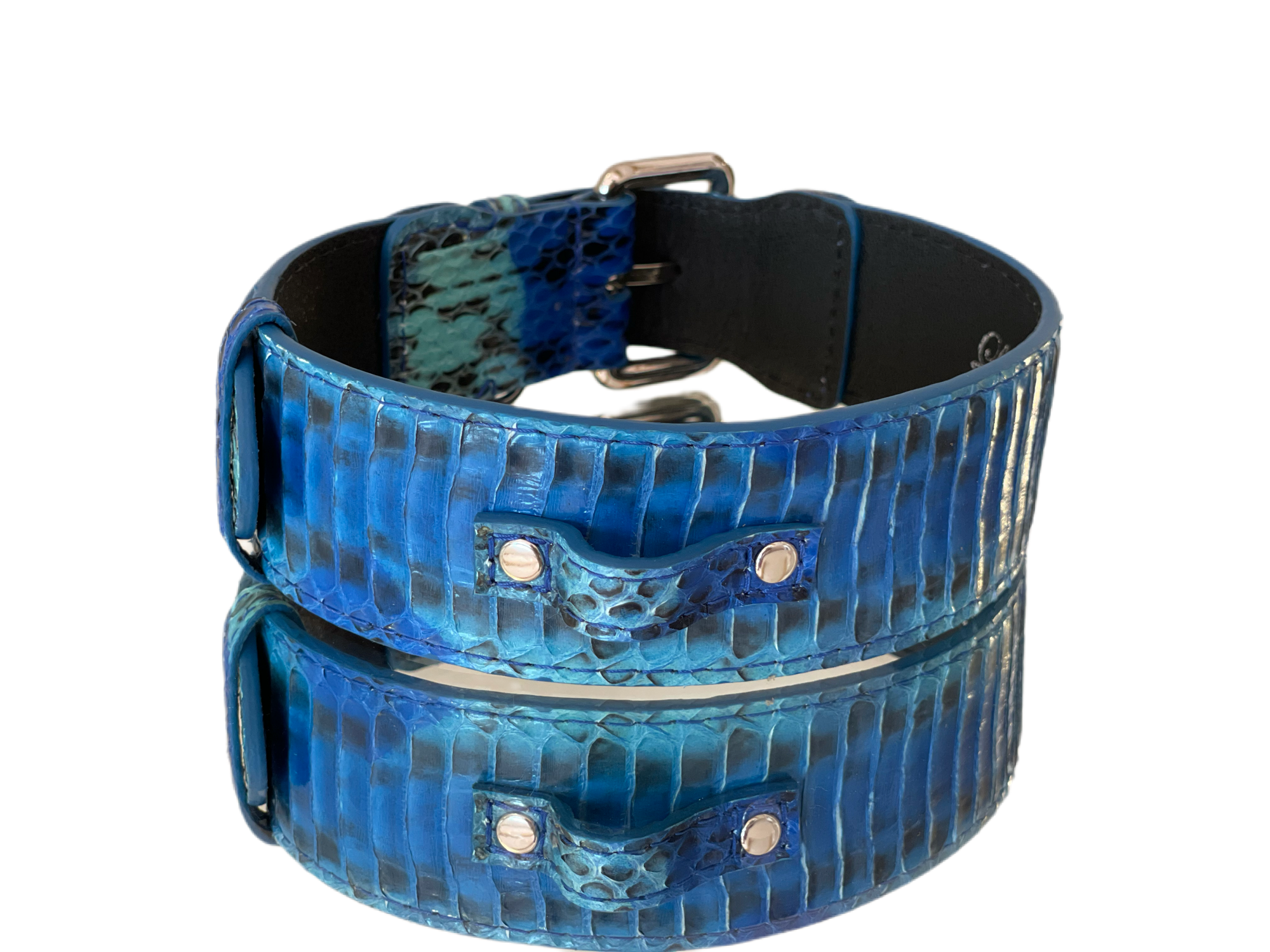 Luxury Pet Fashion Blue/Turquoise Snakeskin Collar with Classic Silver Hardware