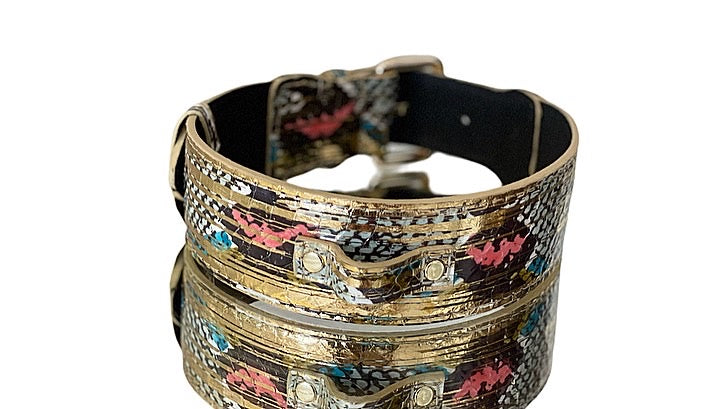 Luxury Pet Fashion Scottsdale Collection