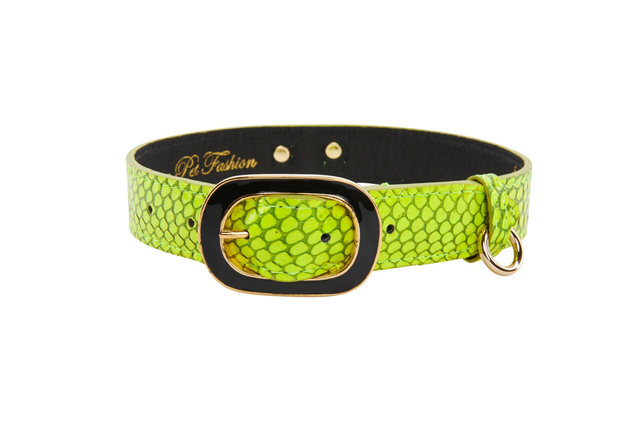 Neon Green Snake Dog Collar with Vintage Black and Gold Italian Hardware