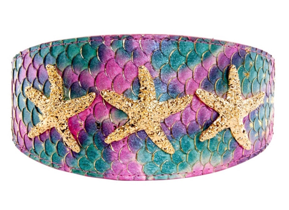 Wide pet collar with multicolored tilapia leather and gold starfish embellishment