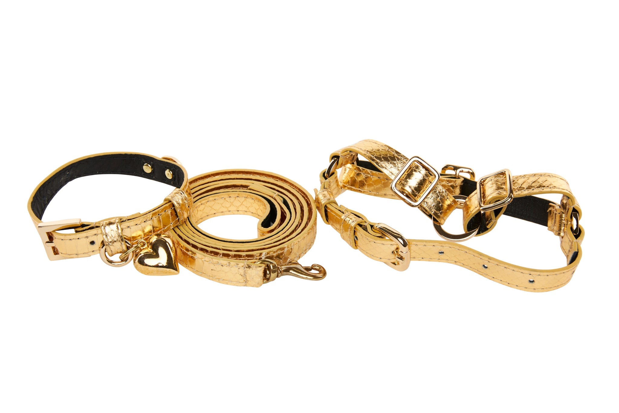 XS Gold Viper Snake Collar, Leash, Harness Set displayed on a fabric background