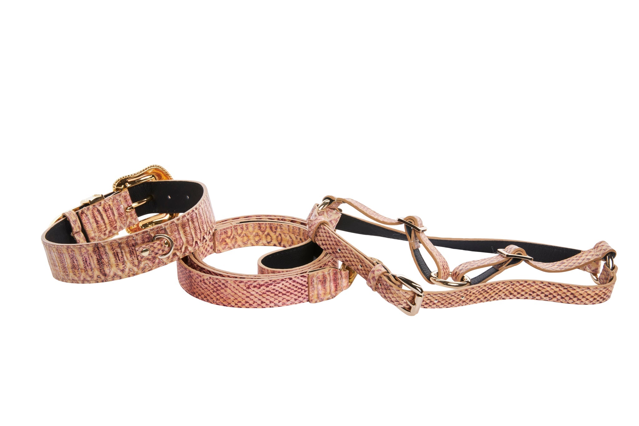 Embossed Snake Italian Leather/Swarovski Crystal Buckle Collar by Allysa Payne Beverly Hills - product image 2 for Resin Society