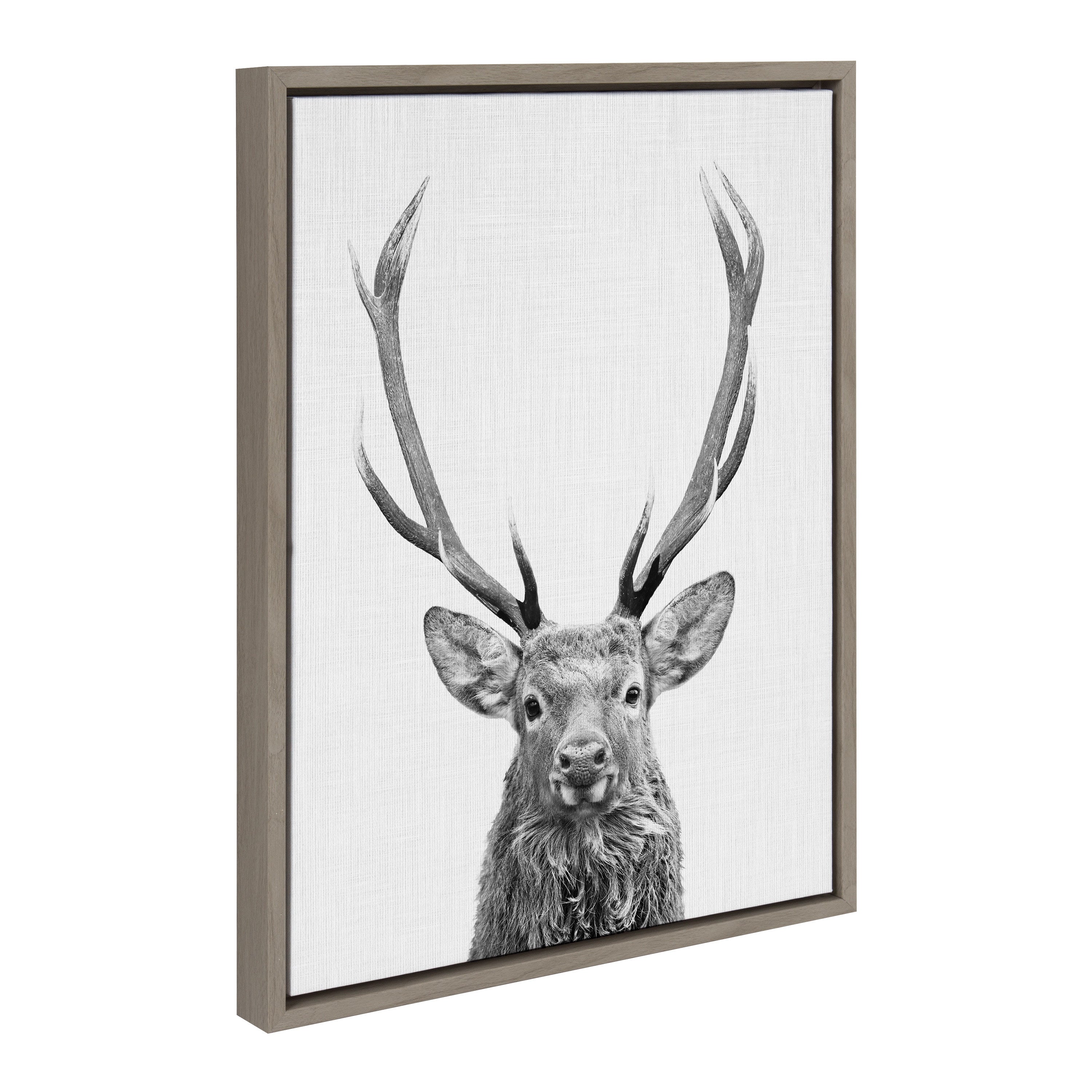 Sylvie The Red Deer BW Framed Canvas by Simon Te of Tai Prints