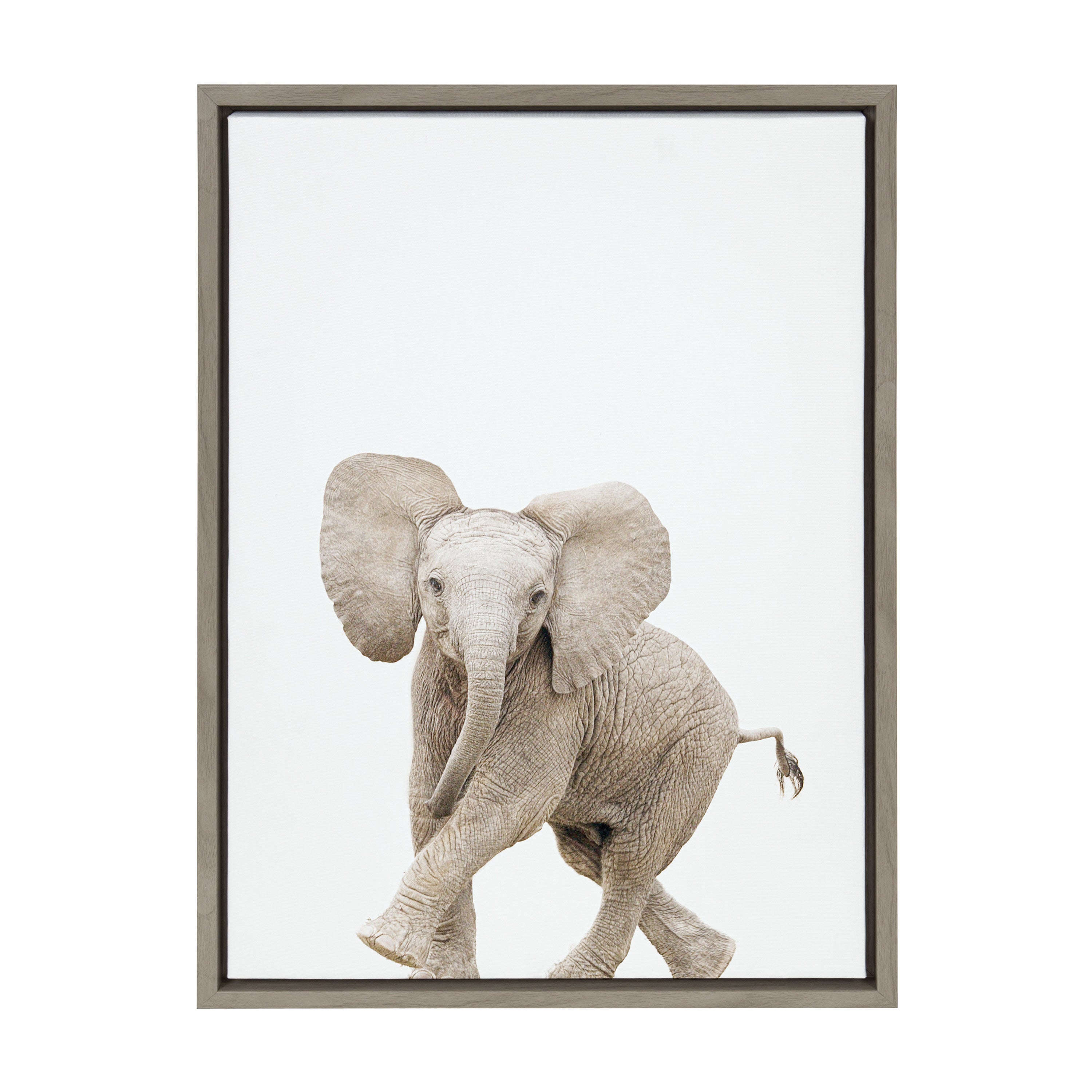 Sylvie Baby Elephant Walk Framed Canvas by Amy Peterson Art Studio