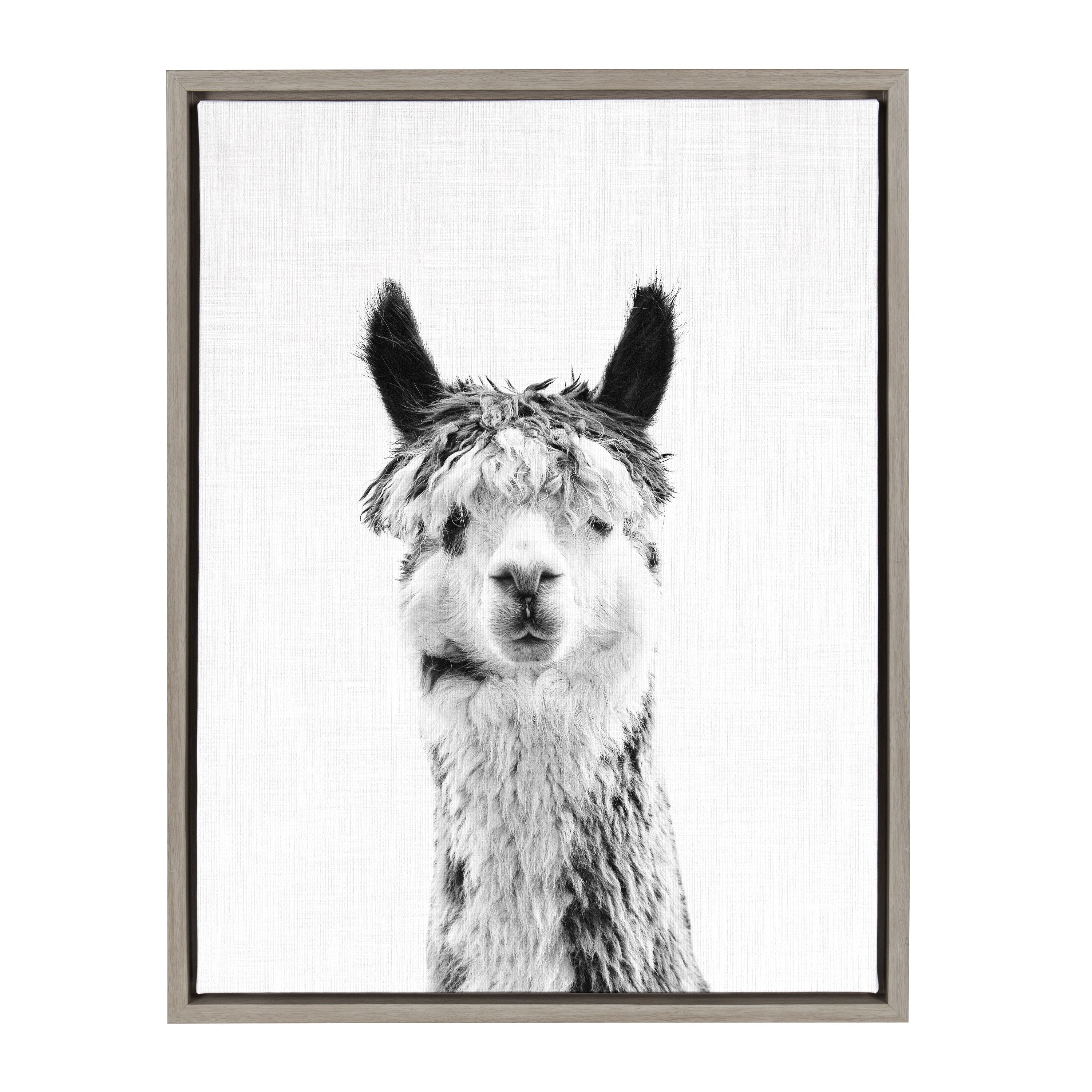 Sylvie Llama Framed Canvas by Simon Te Tai by kateandlaurel - product image 7 for Resin Society