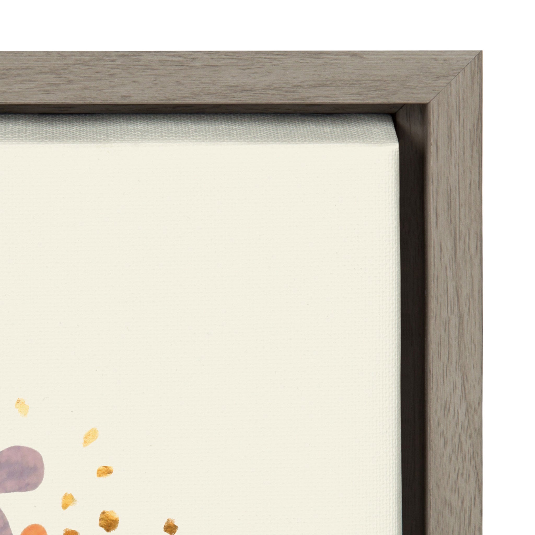 Sylvie Hope Framed Canvas by Mia Charro by kateandlaurel - product image 3 for Resin Society