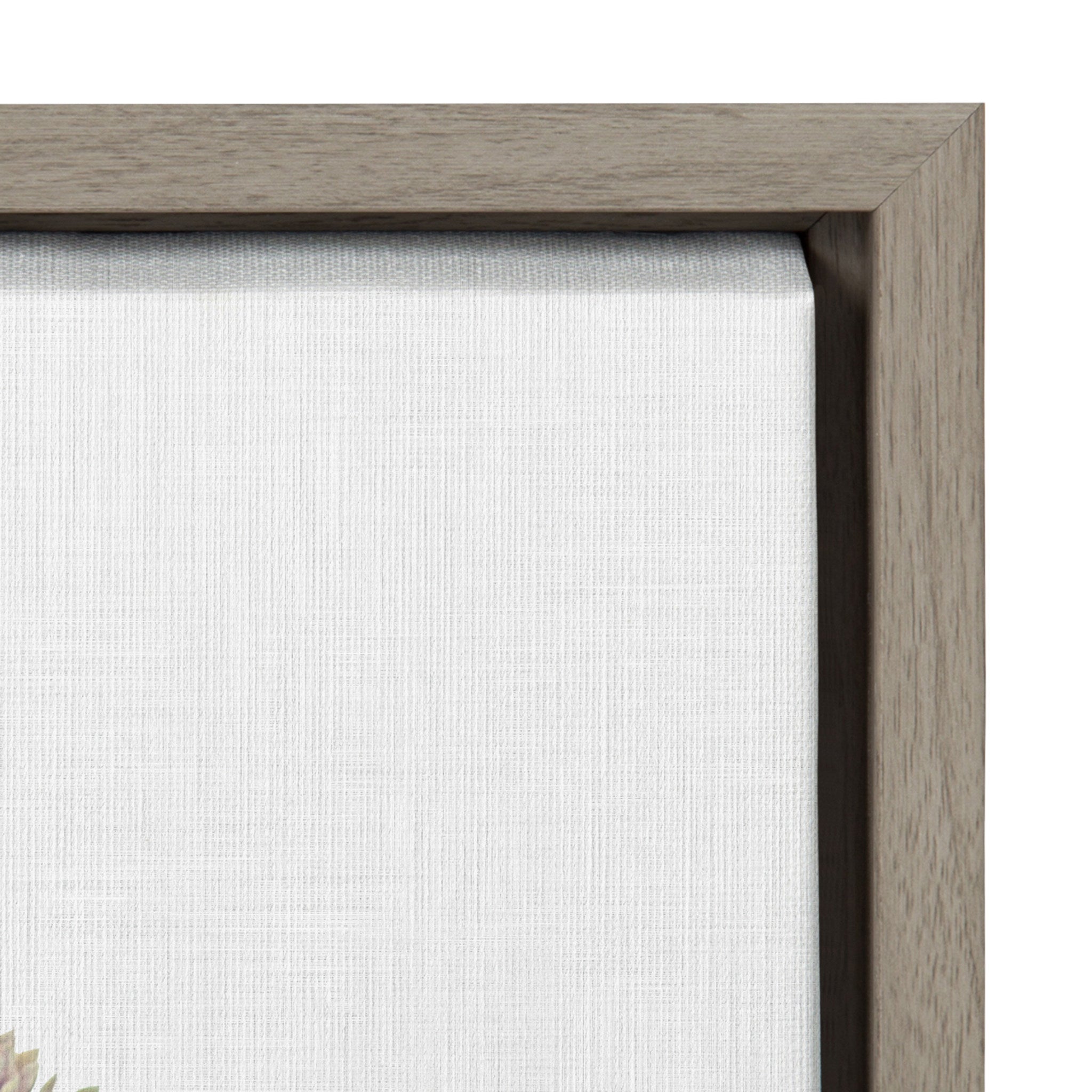 Sylvie Colony 2 Framed Canvas by kateandlaurel - product image 3 for Resin Society