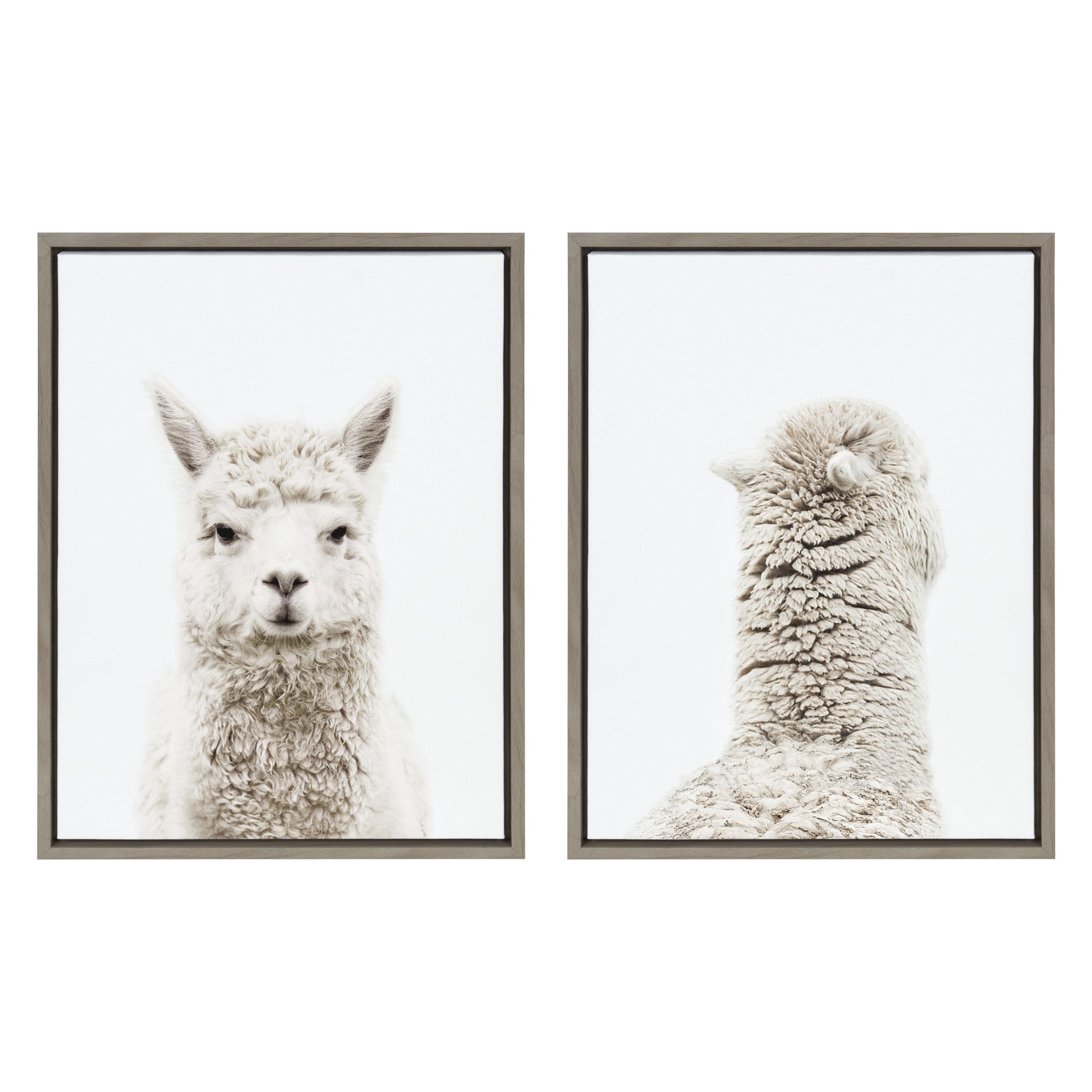 Sylvie Alpaca Front and Alpaca Back two piece framed canvas art set showing a gray alpaca front and natural colored alpaca back