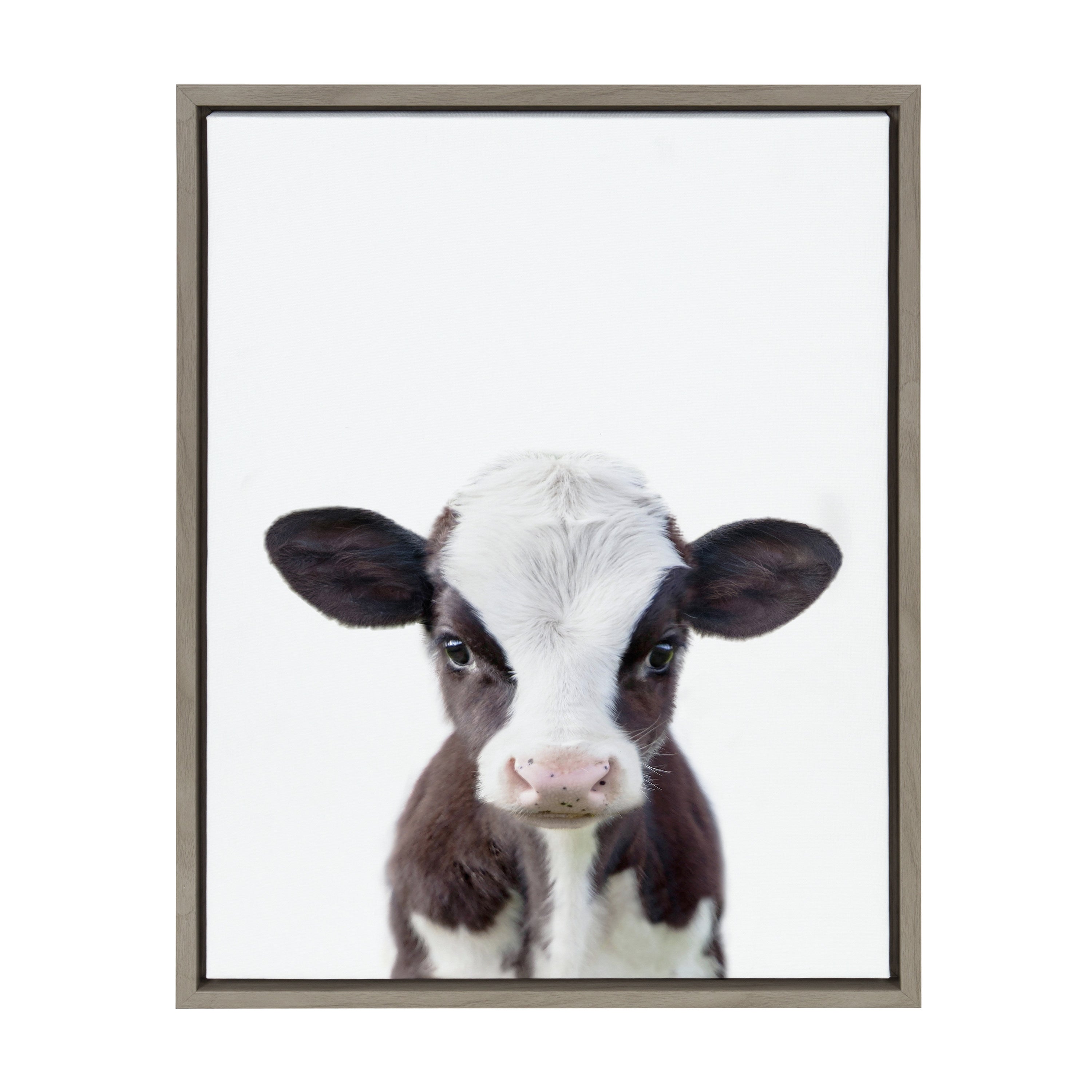 Sylvie Baby Cow Portrait Framed Canvas by Amy Peterson by kateandlaurel - product image 2 for Resin Society