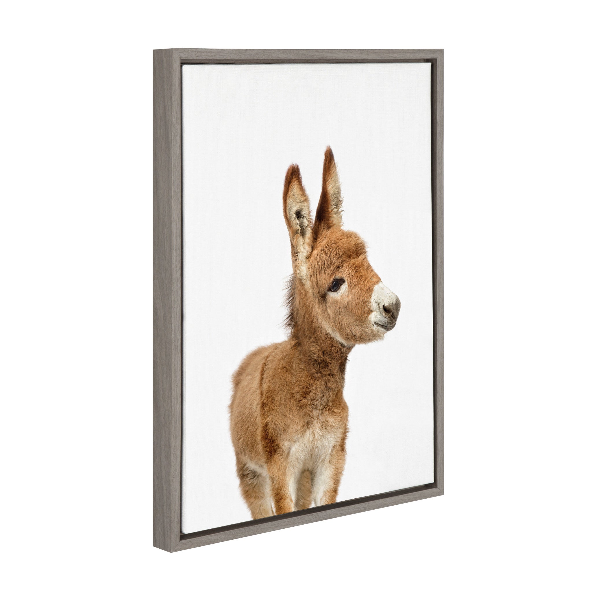 Sylvie Animal Studio Burro Framed Canvas by Amy Peterson Art Studio