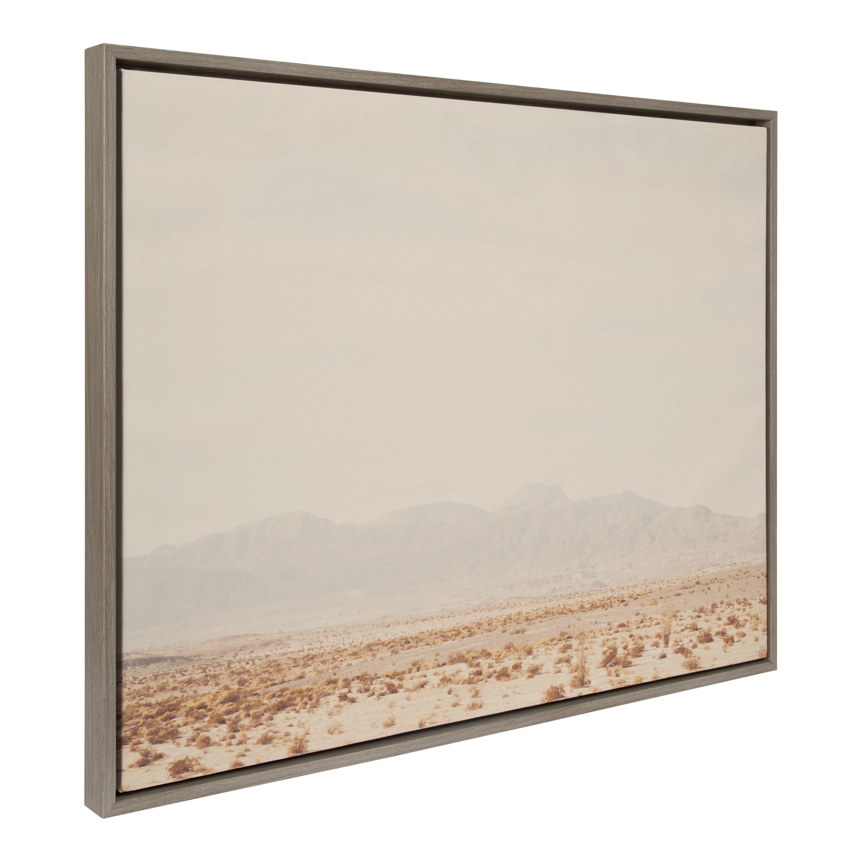 Sylvie California Dreaming Framed Canvas by Laura Evans