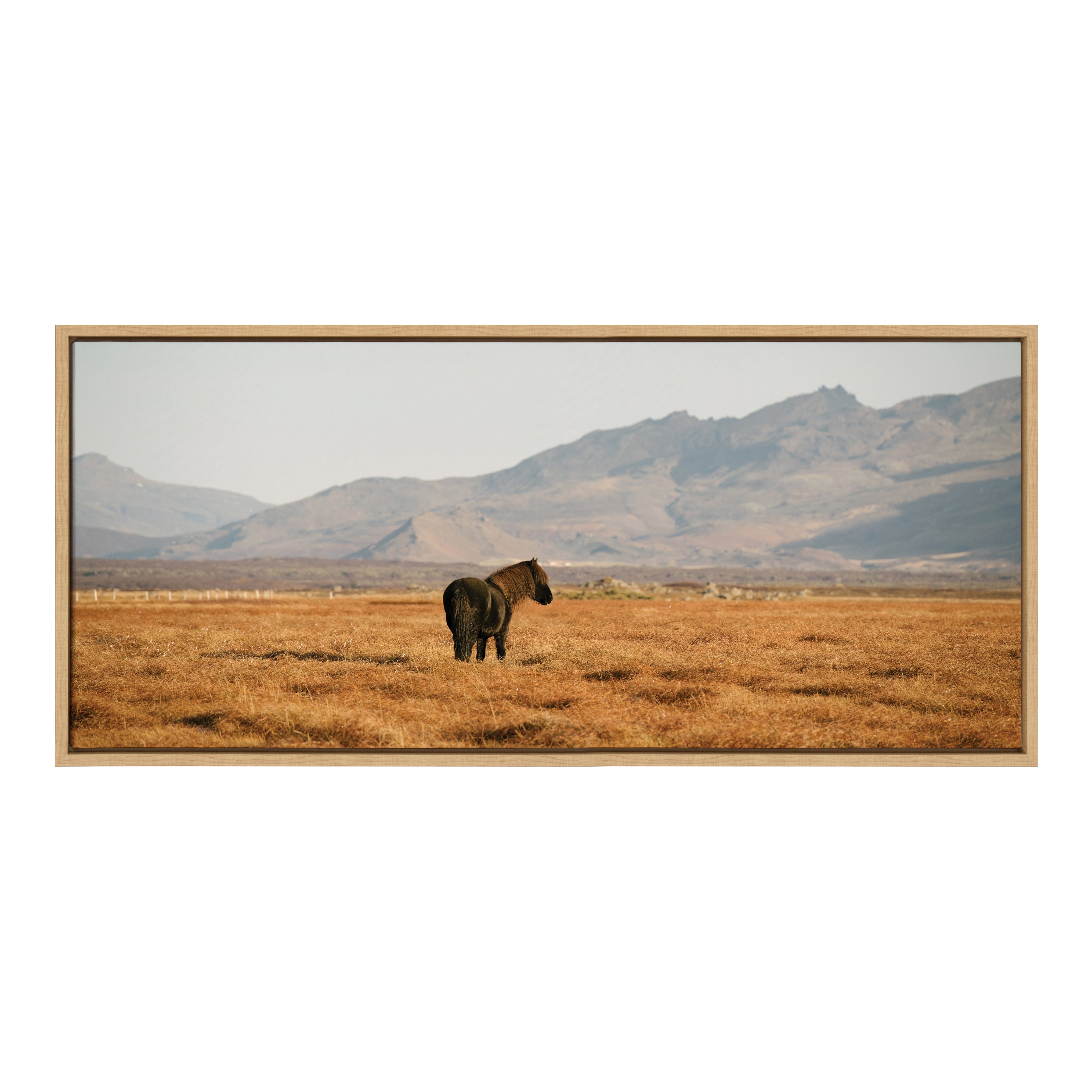 Sylvie Icelandic Horses No 3 Framed Canvas by Crystal Lynn Collins