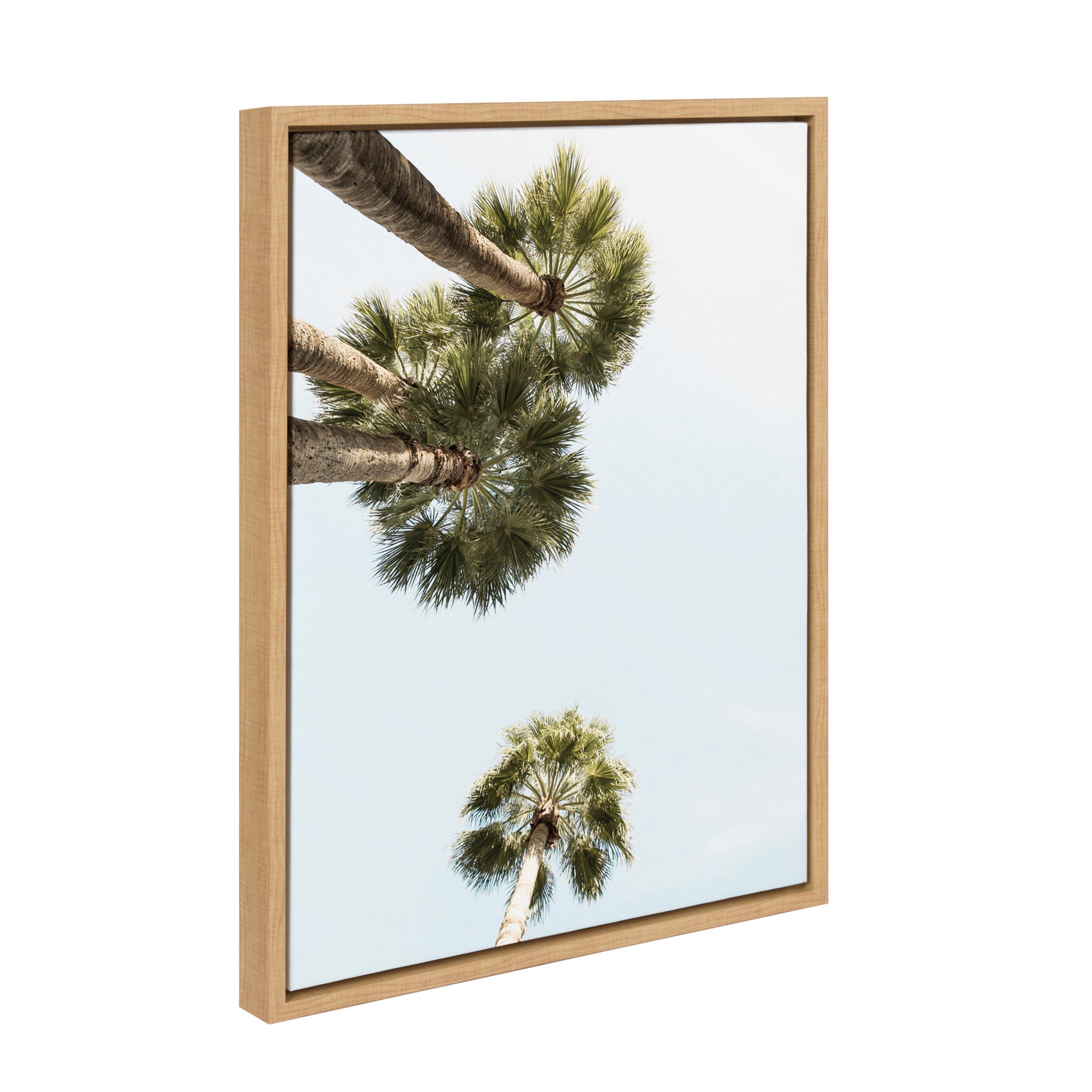 Sylvie Palm Trees Above Framed Canvas by kateandlaurel - product image 2 for Resin Society