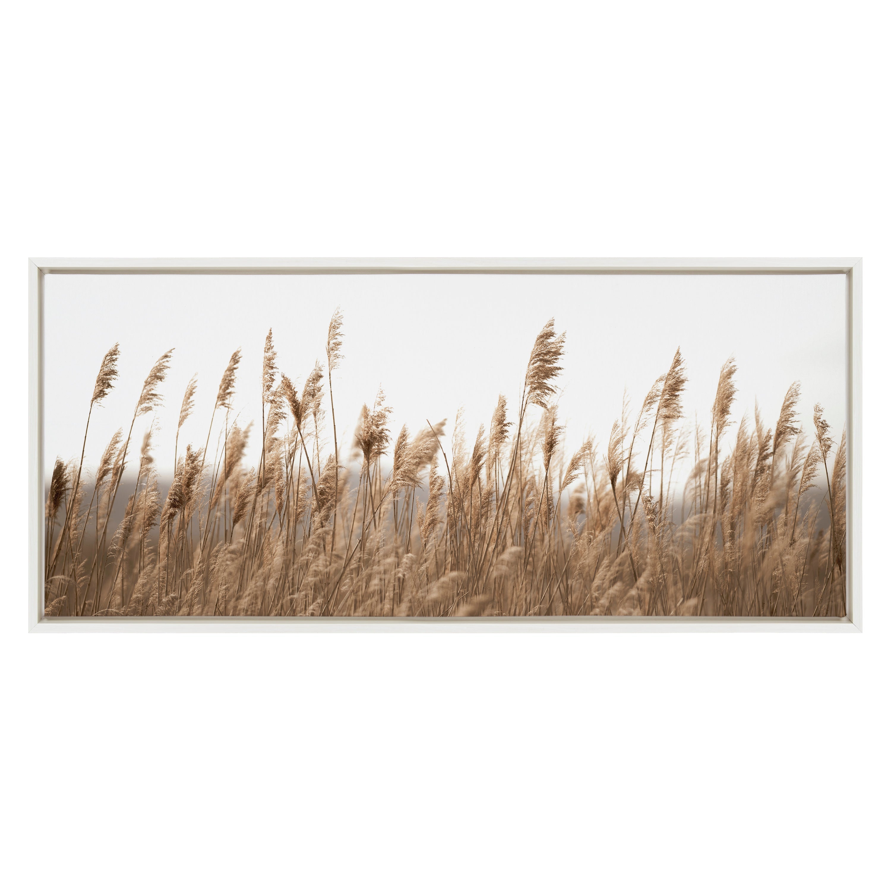 Sylvie Marsh Grass No 14 Framed Canvas by Crystal Lynn Collins