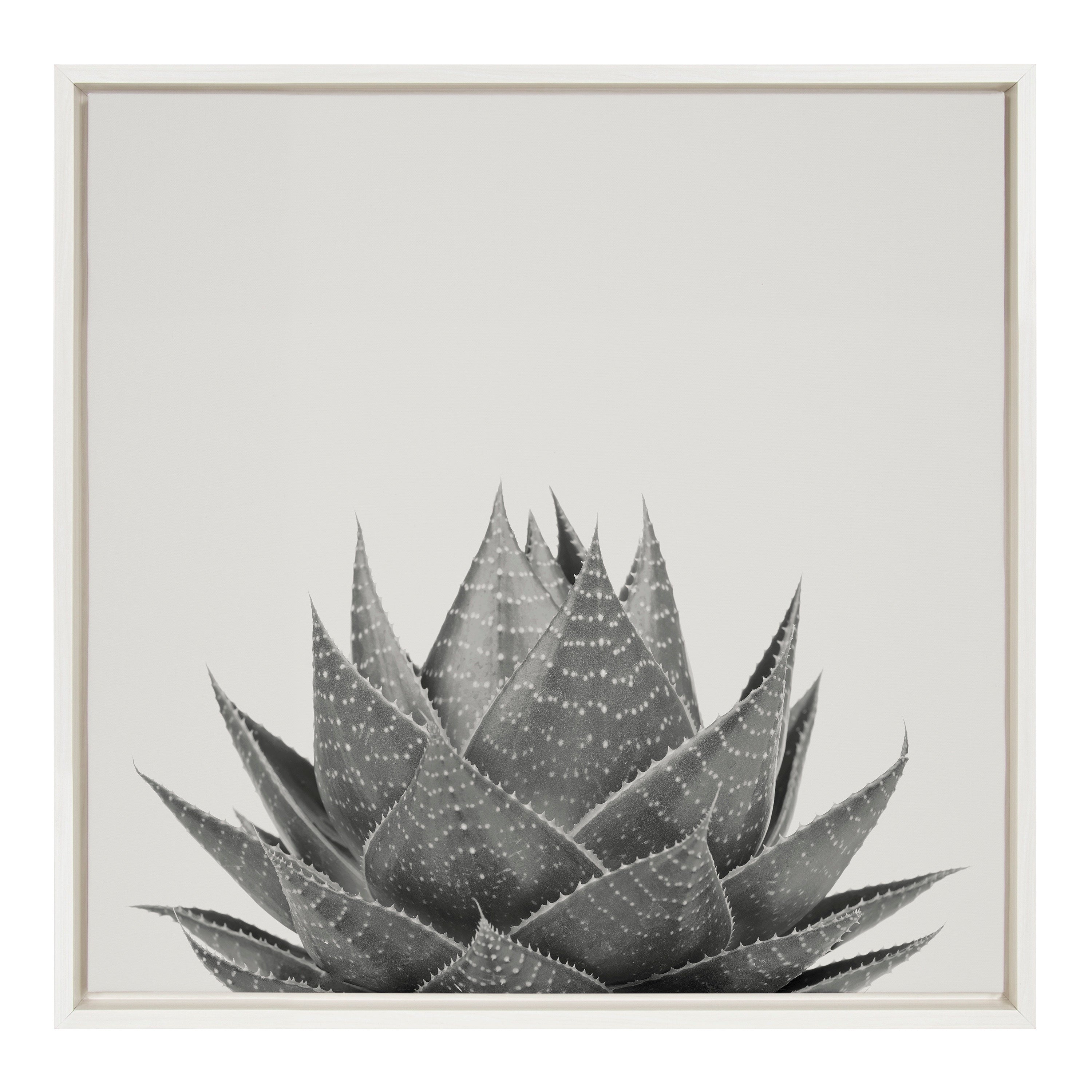 Sylvie Haze Aloe Succulent Framed Canvas by The Creative Bunch Studio by kateandlaurel - main product image for Resin Society
