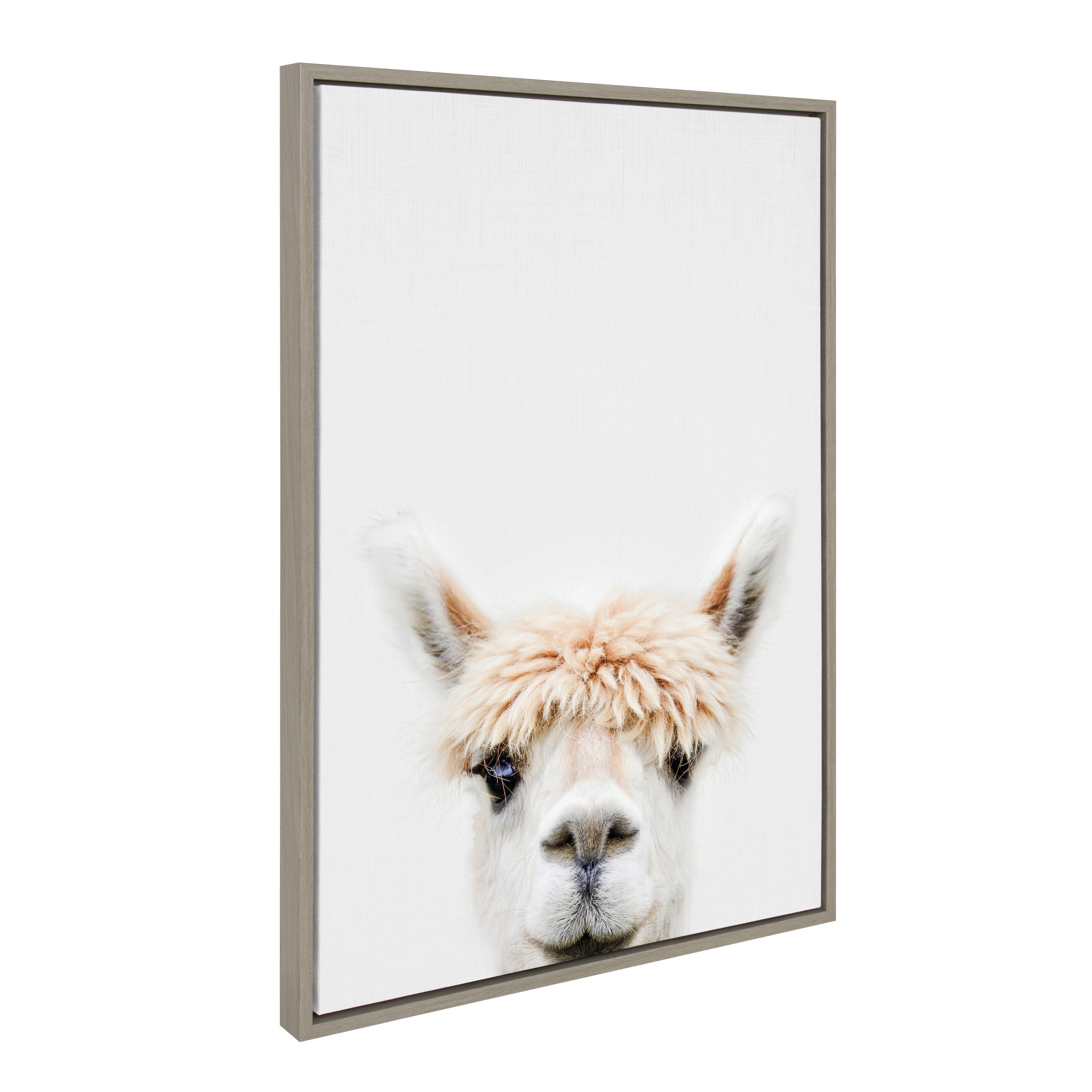 Sylvie Alpaca Bangs Framed Canvas by Amy Peterson Art Studio by kateandlaurel - product image 11 for Resin Society