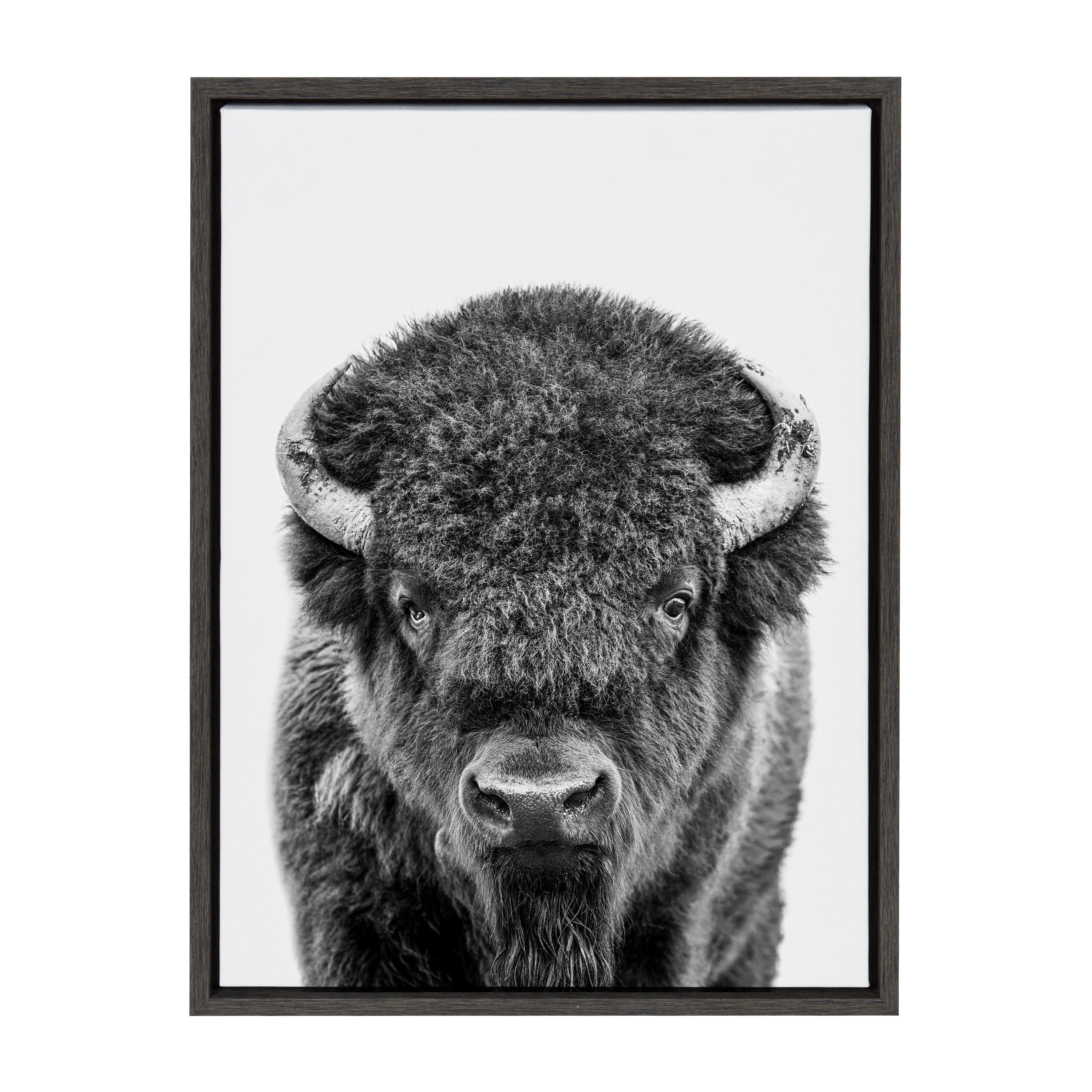 Sylvie Bison Portrait Black and White Framed Canvas by Amy Peterson Art Studio