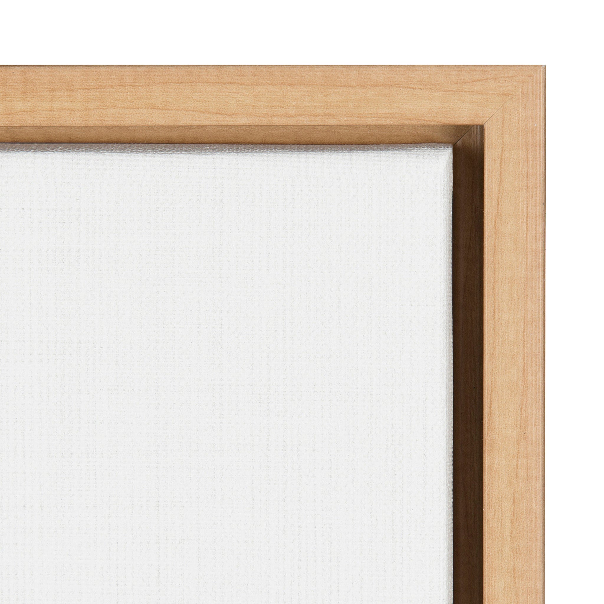 Sylvie Lone Joshua Tree Framed Canvas by Amy Peterson Art Studio by kateandlaurel - product image 3 for Resin Society