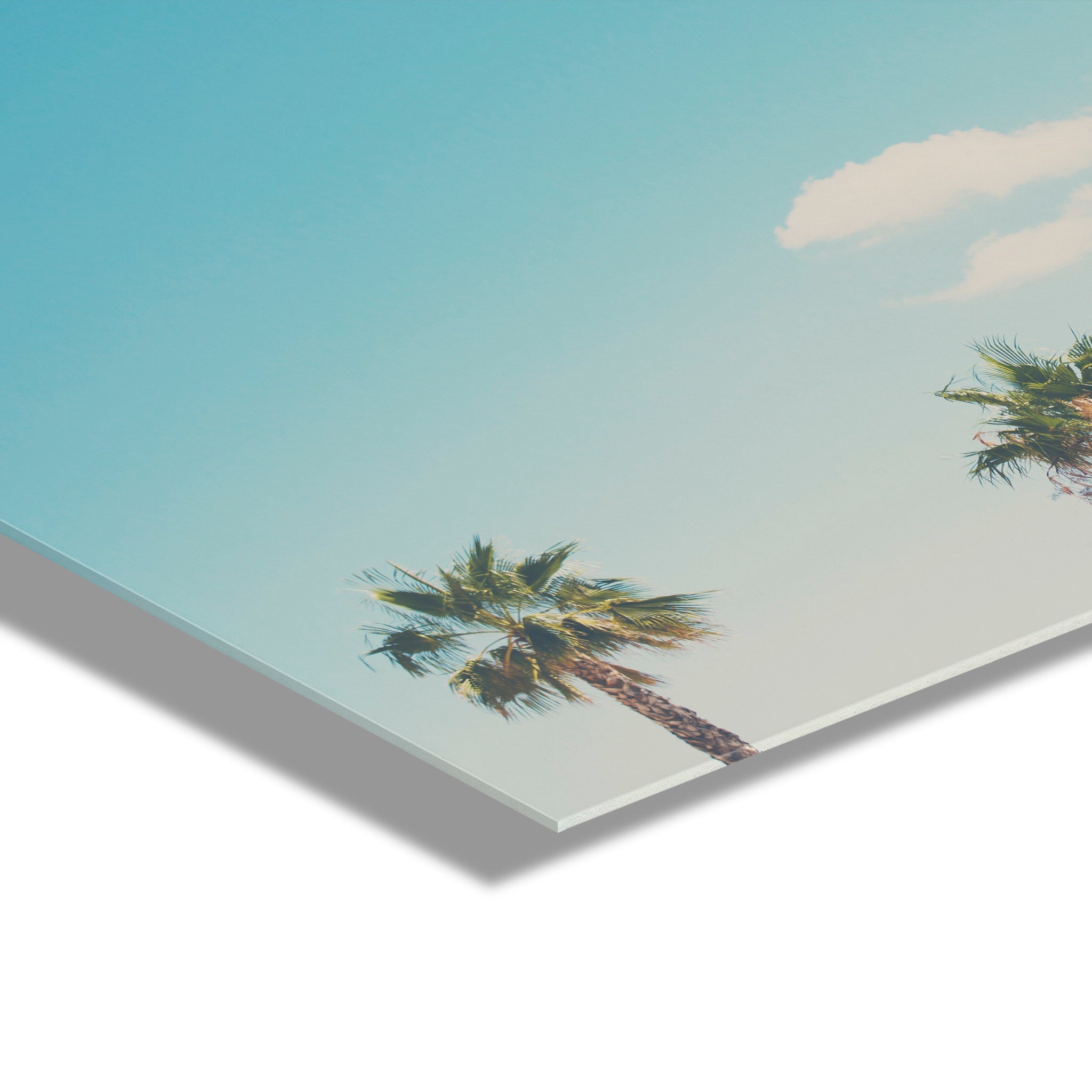 A Trio Of Palm Trees Floating Acrylic Art by kateandlaurel - product image 3 for Resin Society