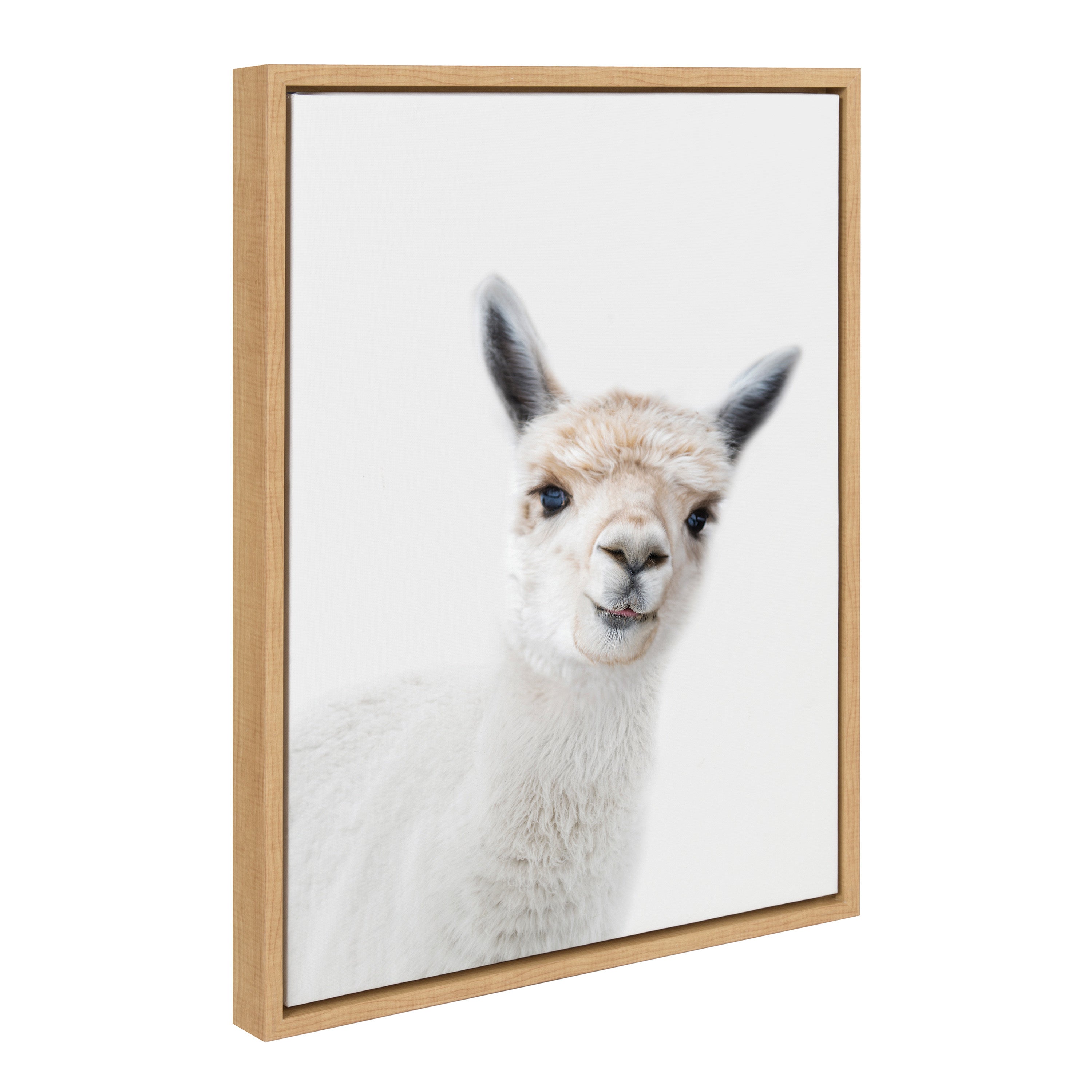 Sylvie Animal Studio Alpaca Framed Canvas by Amy Peterson Art Studio