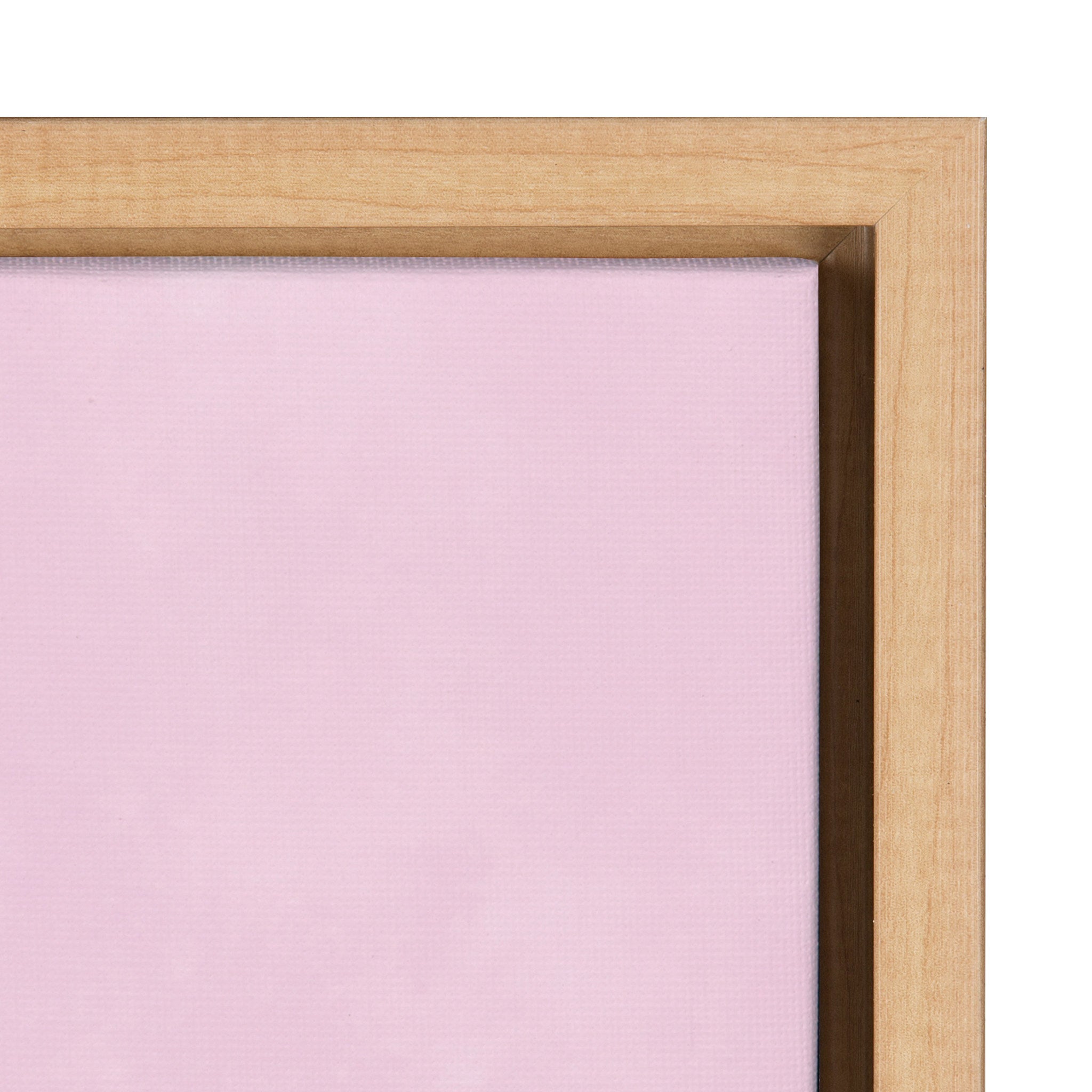 Sylvie No Thanks We Have Plants Framed Canvas by kateandlaurel - product image 3 for Resin Society