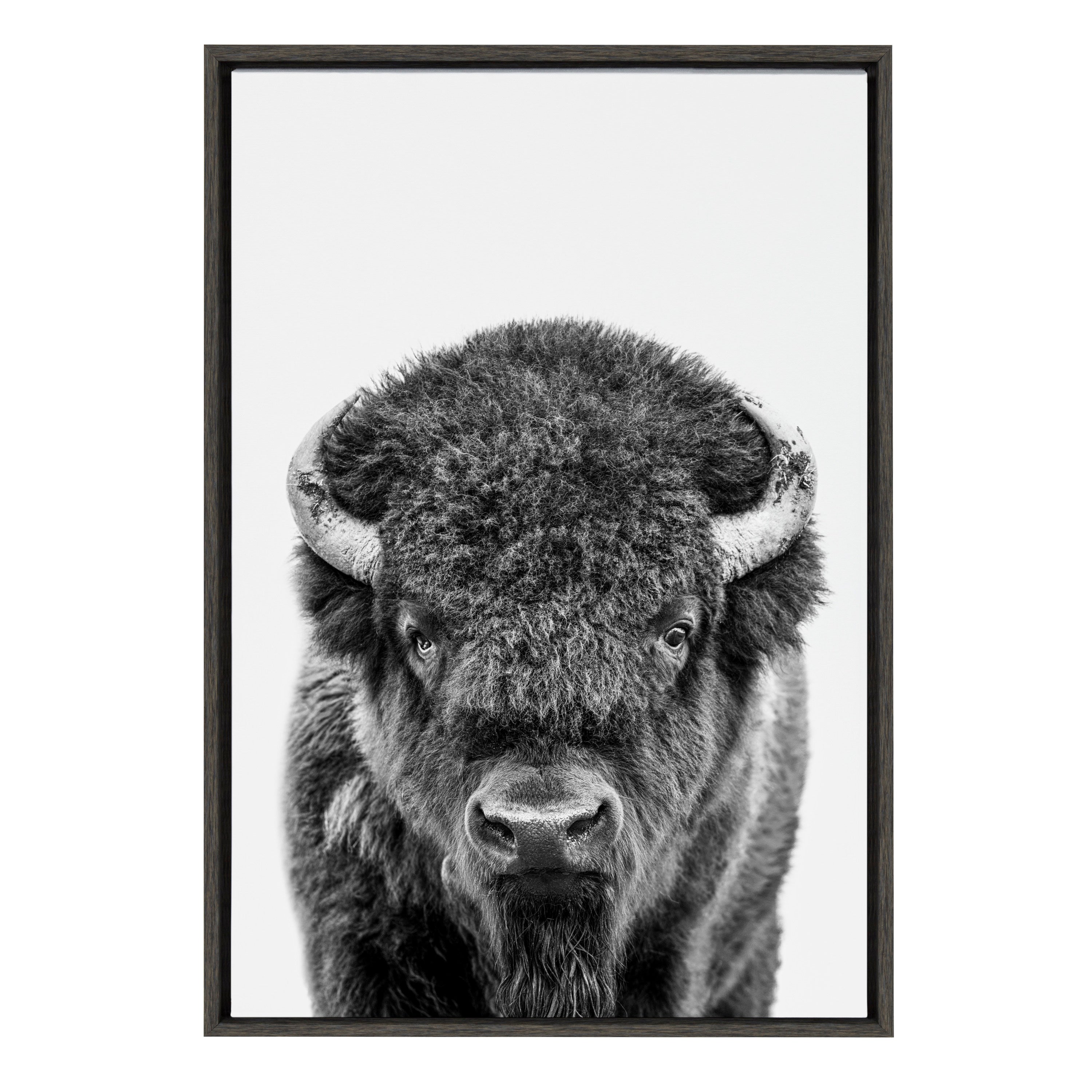 Sylvie Bison Portrait Black and White Framed Canvas by Amy Peterson Art Studio