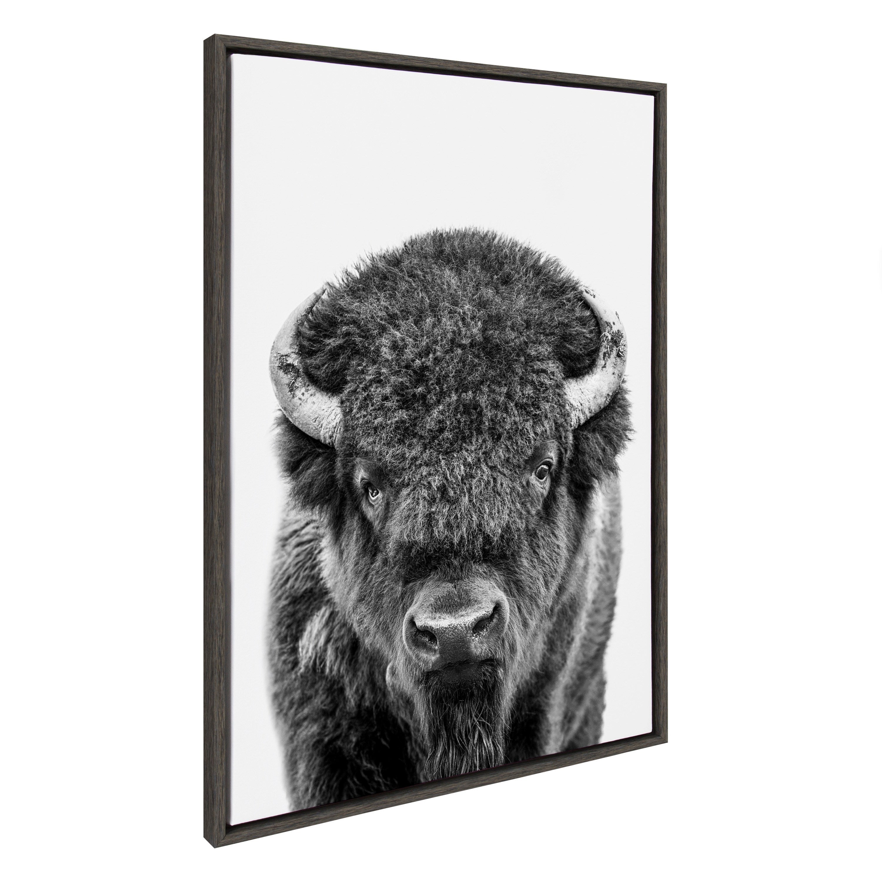 Black and white portrait of a bison on a framed floating canvas printed by Amy Peterson Art Studio