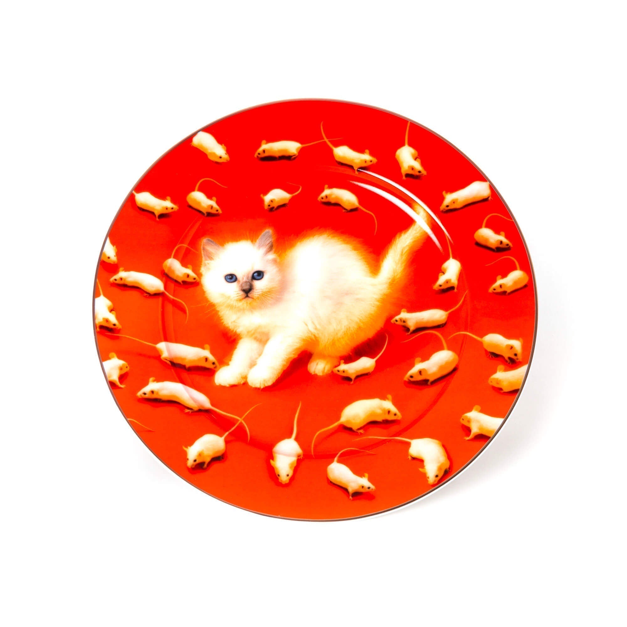 Porcelain Plate Kitten Gold Border by DEKOR - main product image for Resin Society