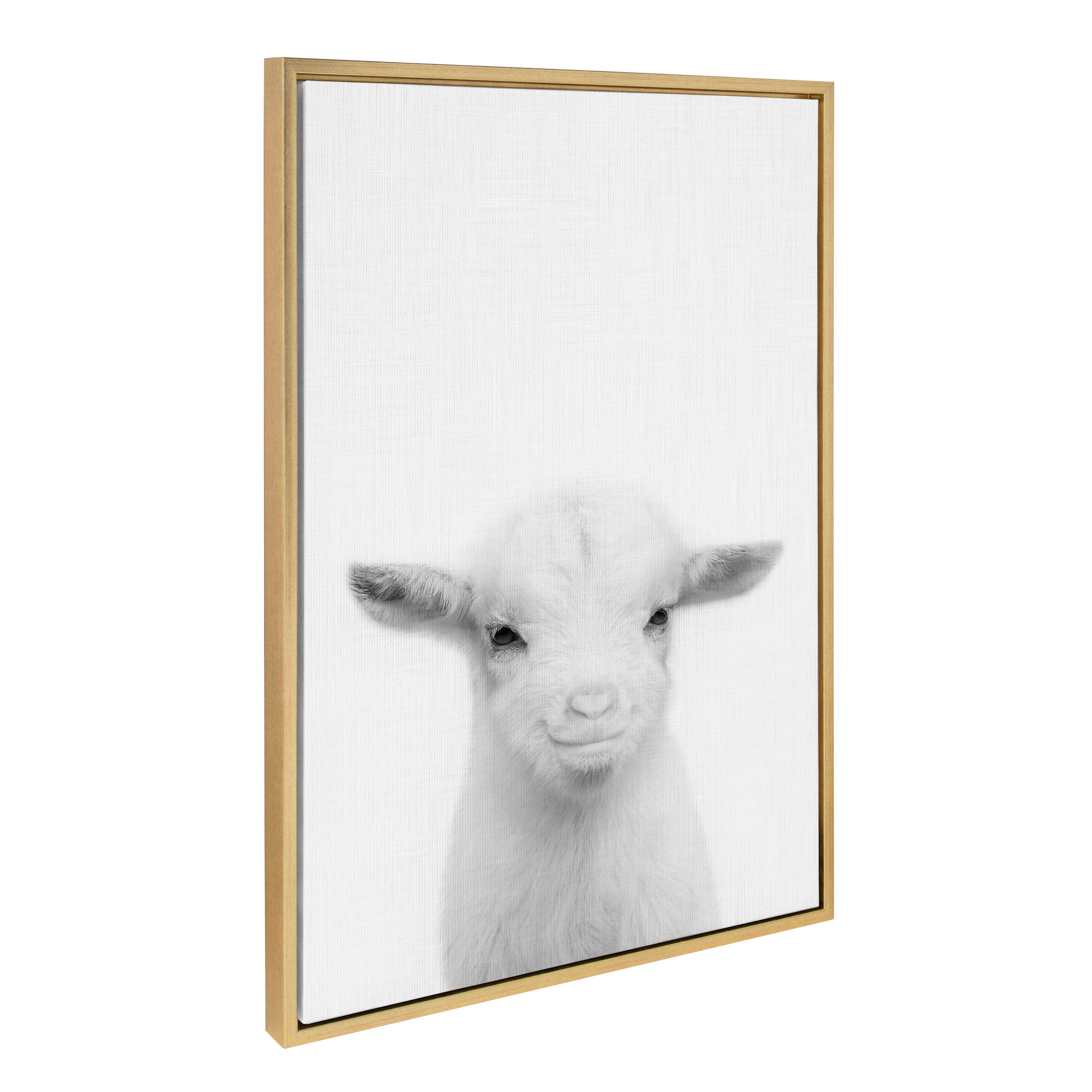 Sylvie Baby Goat Framed Canvas by Simon Te Tai by kateandlaurel - product image 8 for Resin Society