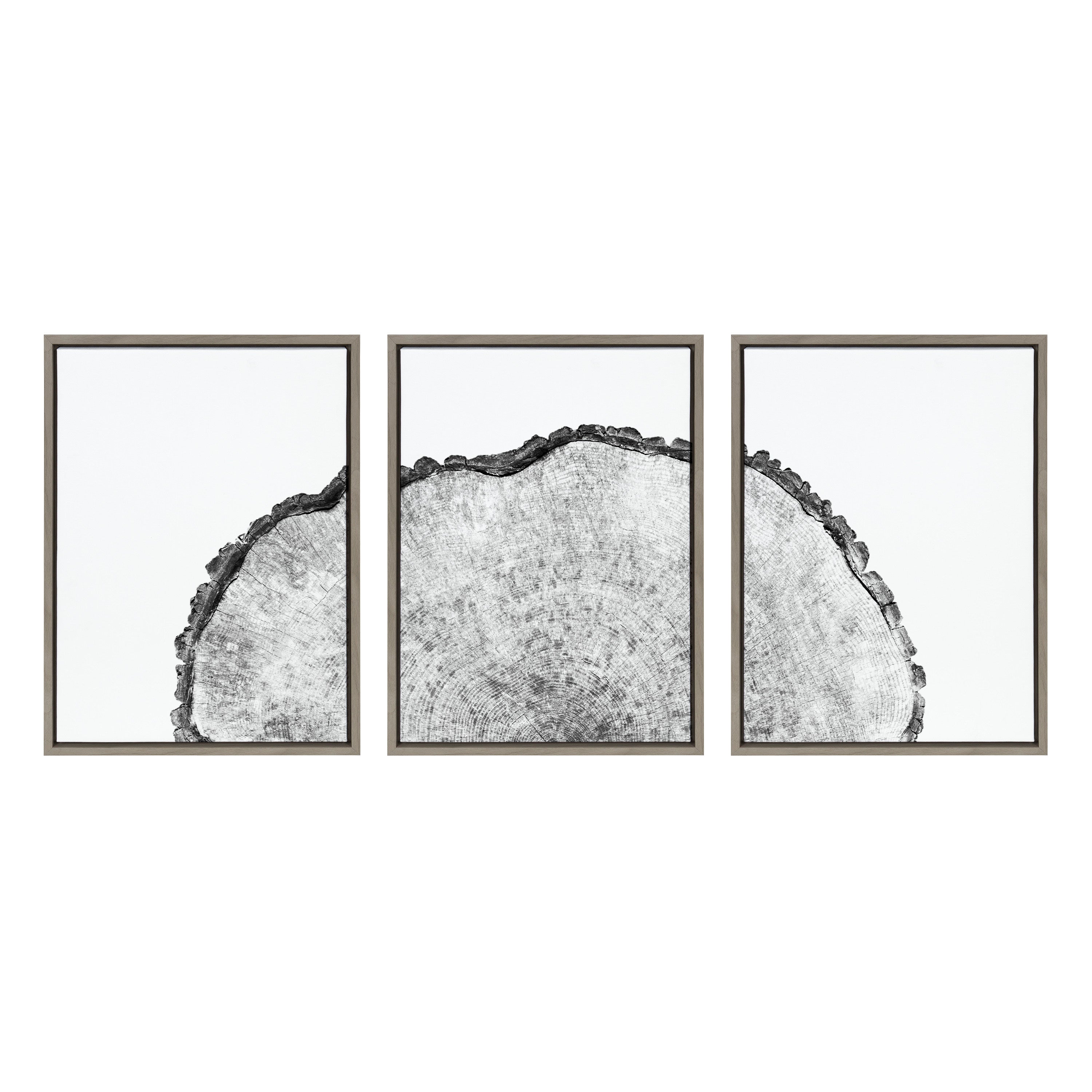 Sylvie Tree Rings Set Framed Canvas by kateandlaurel - product image 8 for Resin Society