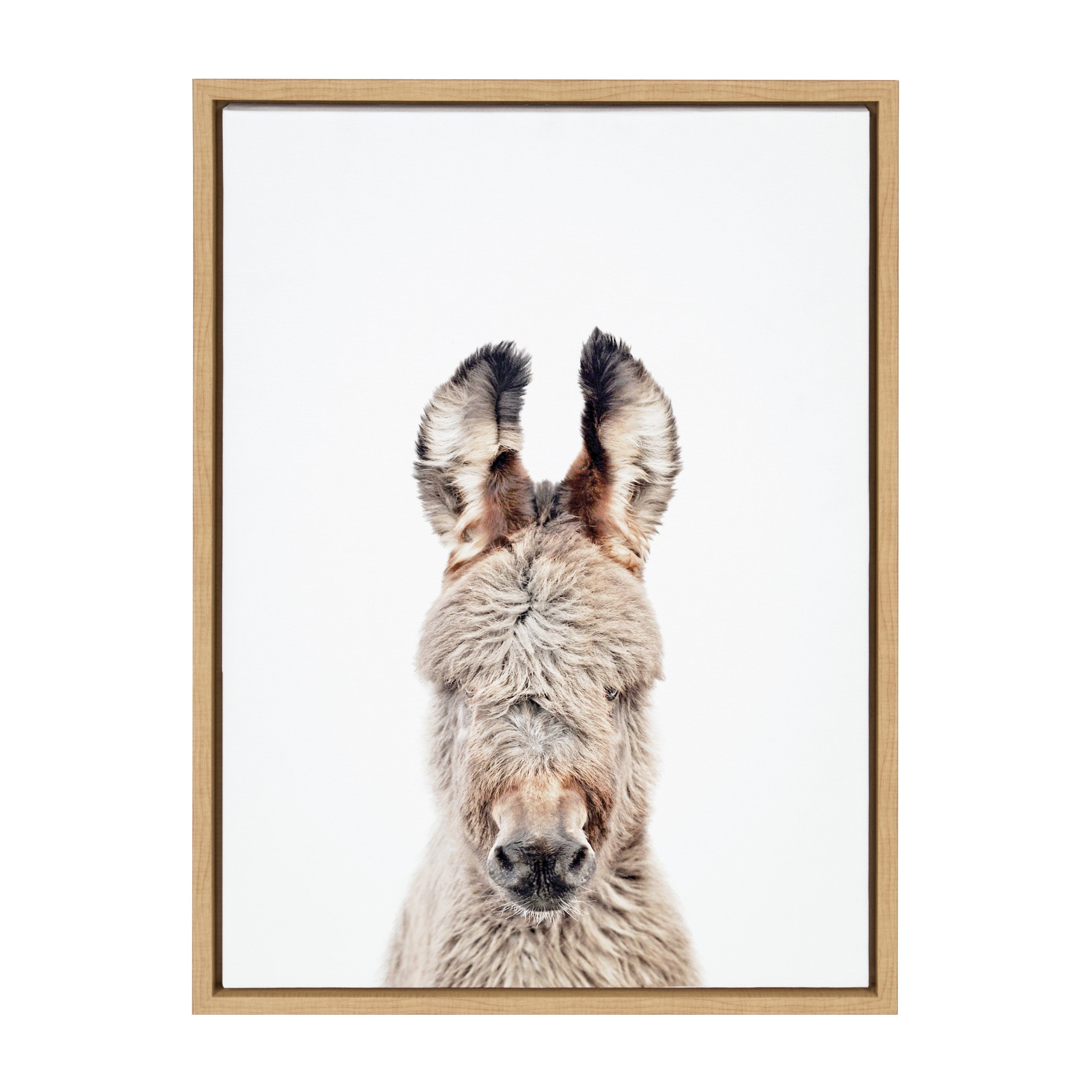 Sylvie Animal Studio Burro Portrait Framed Canvas by Amy Peterson Art Studio