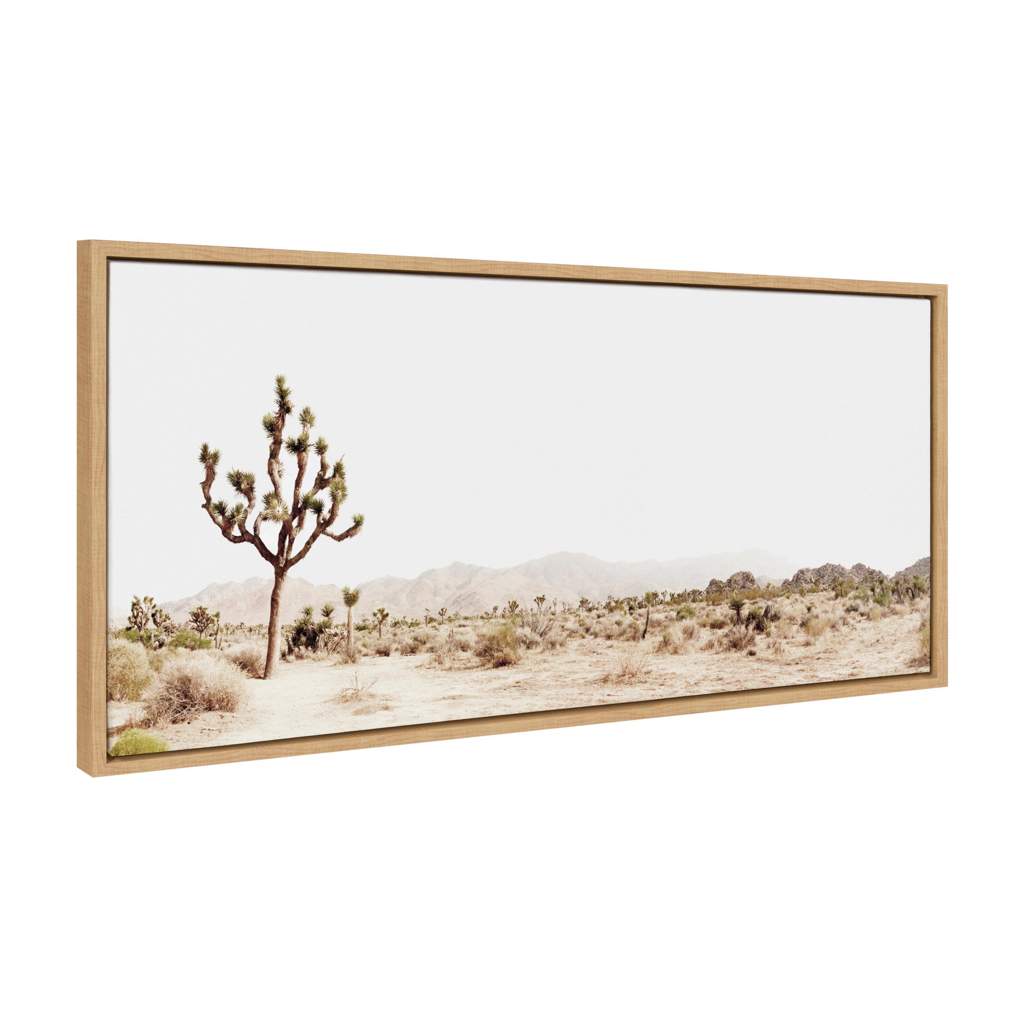 Sylvie Lone Joshua Tree Framed Canvas by Amy Peterson Art Studio by kateandlaurel - product image 2 for Resin Society