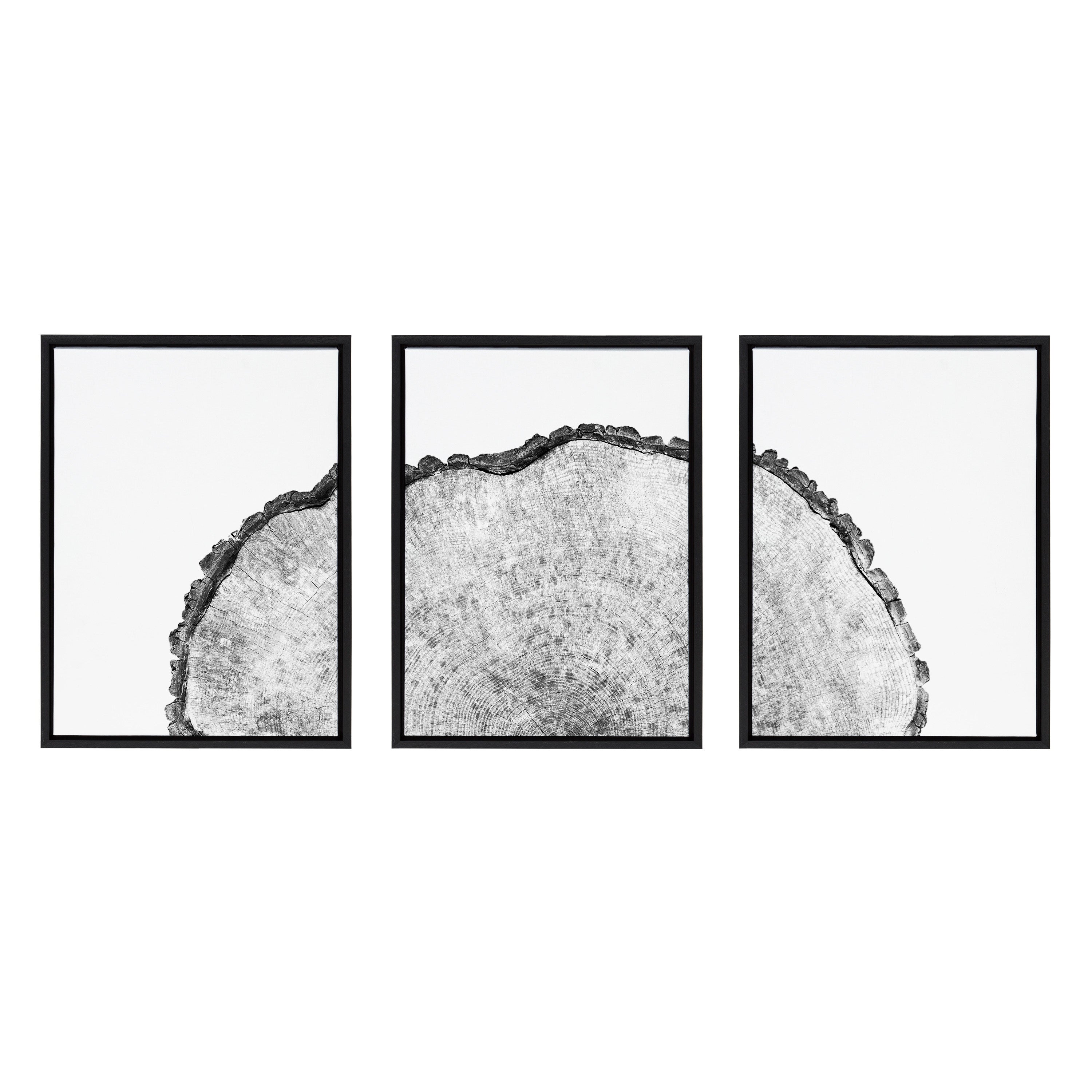 Sylvie Tree Rings Set Framed Canvas by kateandlaurel - product image 14 for Resin Society