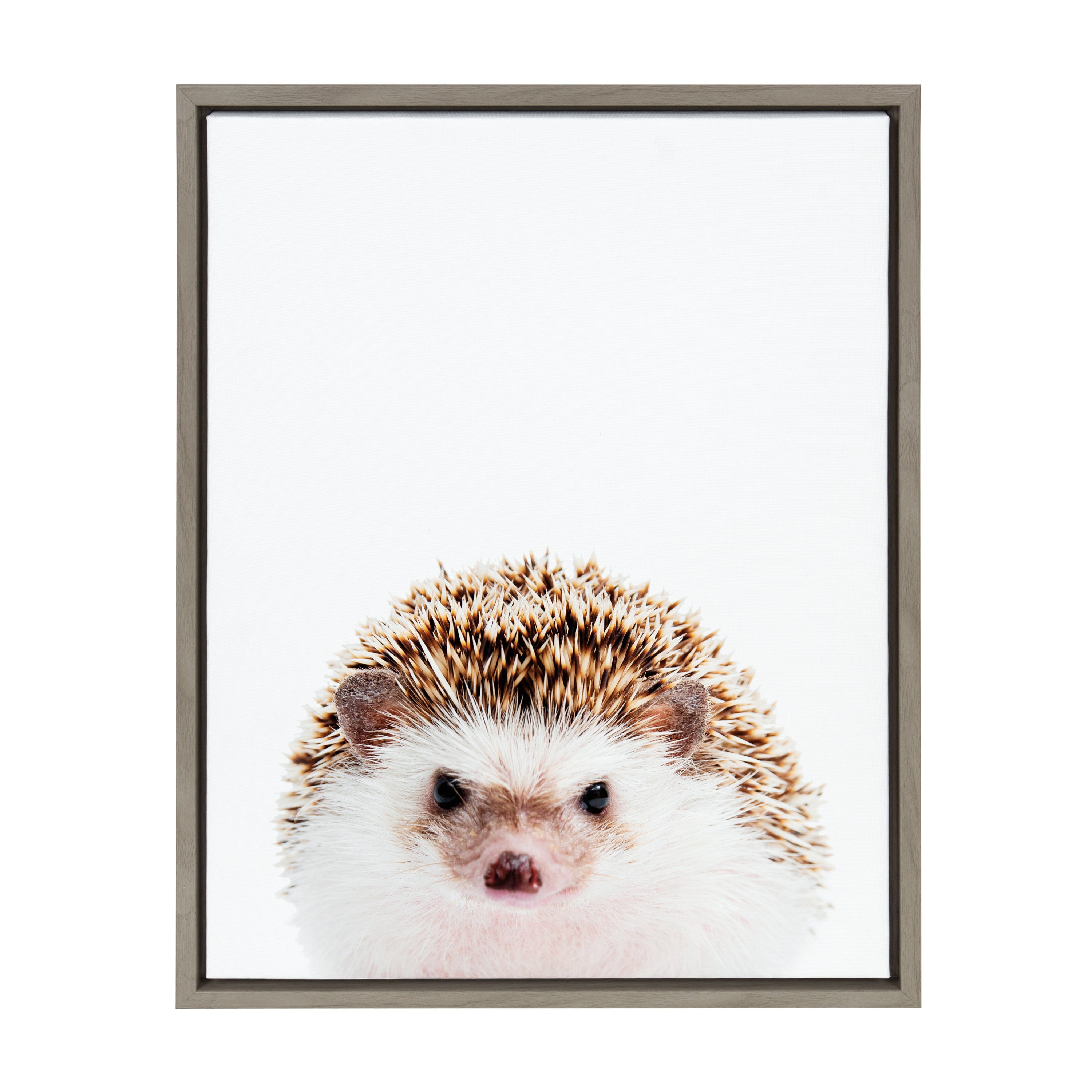 Sylvie Hedgehog Framed Canvas by Amy Peterson by kateandlaurel - product image 7 for Resin Society