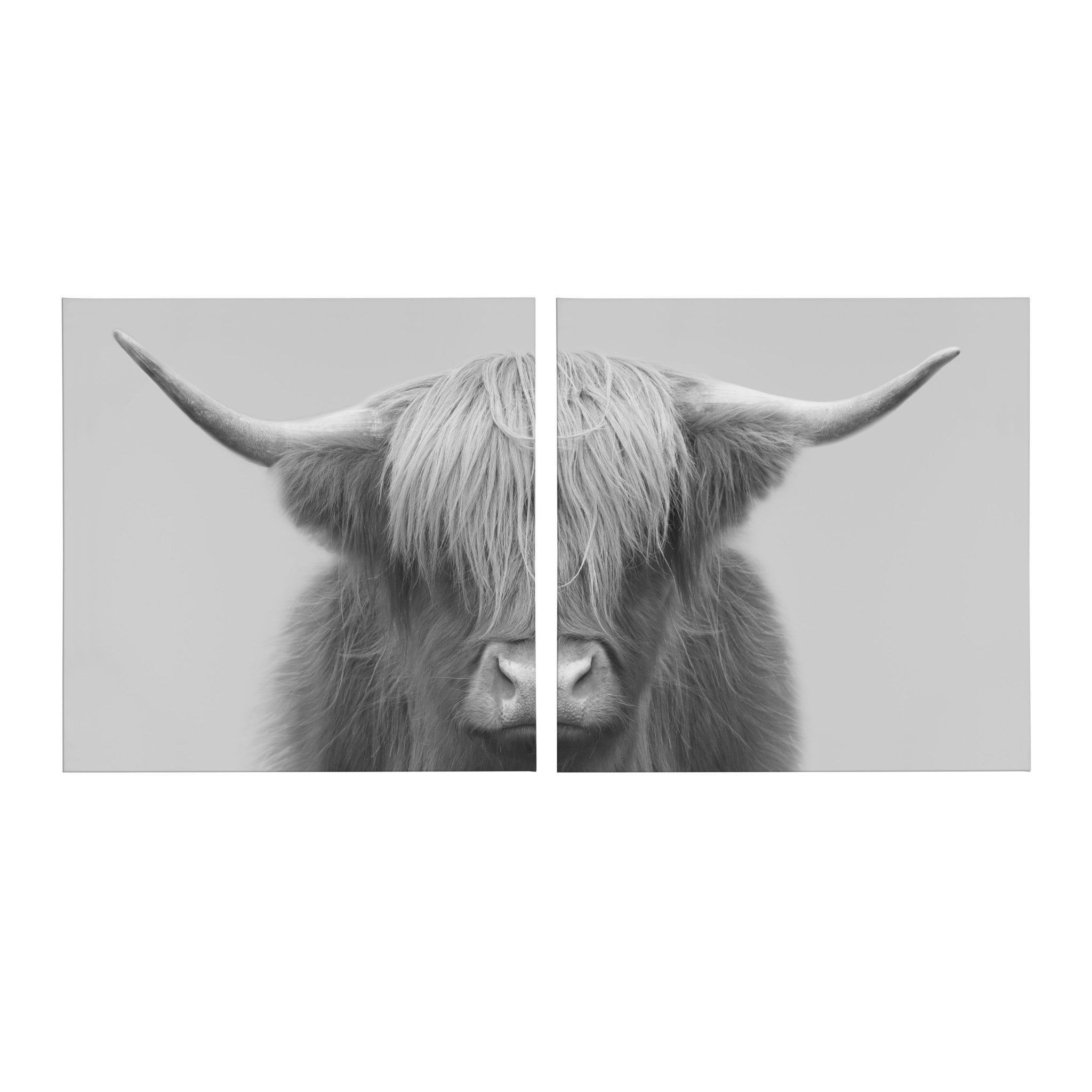 Hey Dude Highland Cow Gray Canvas by The Creative Bunch Studio by kateandlaurel - product image 2 for Resin Society