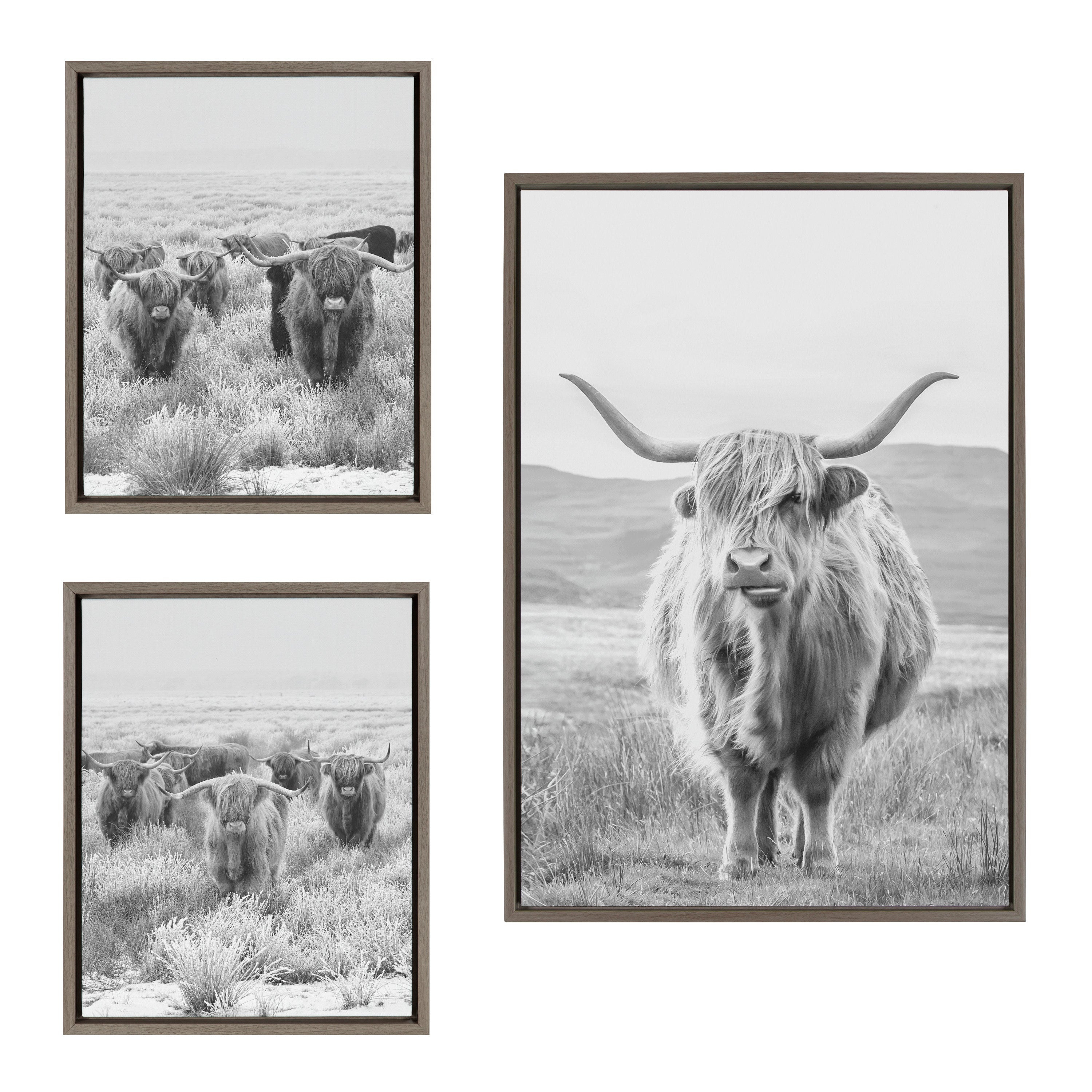 Sylvie Herd of Highland Cows BW Framed Canvas Art Set by The Creative Bunch Studio