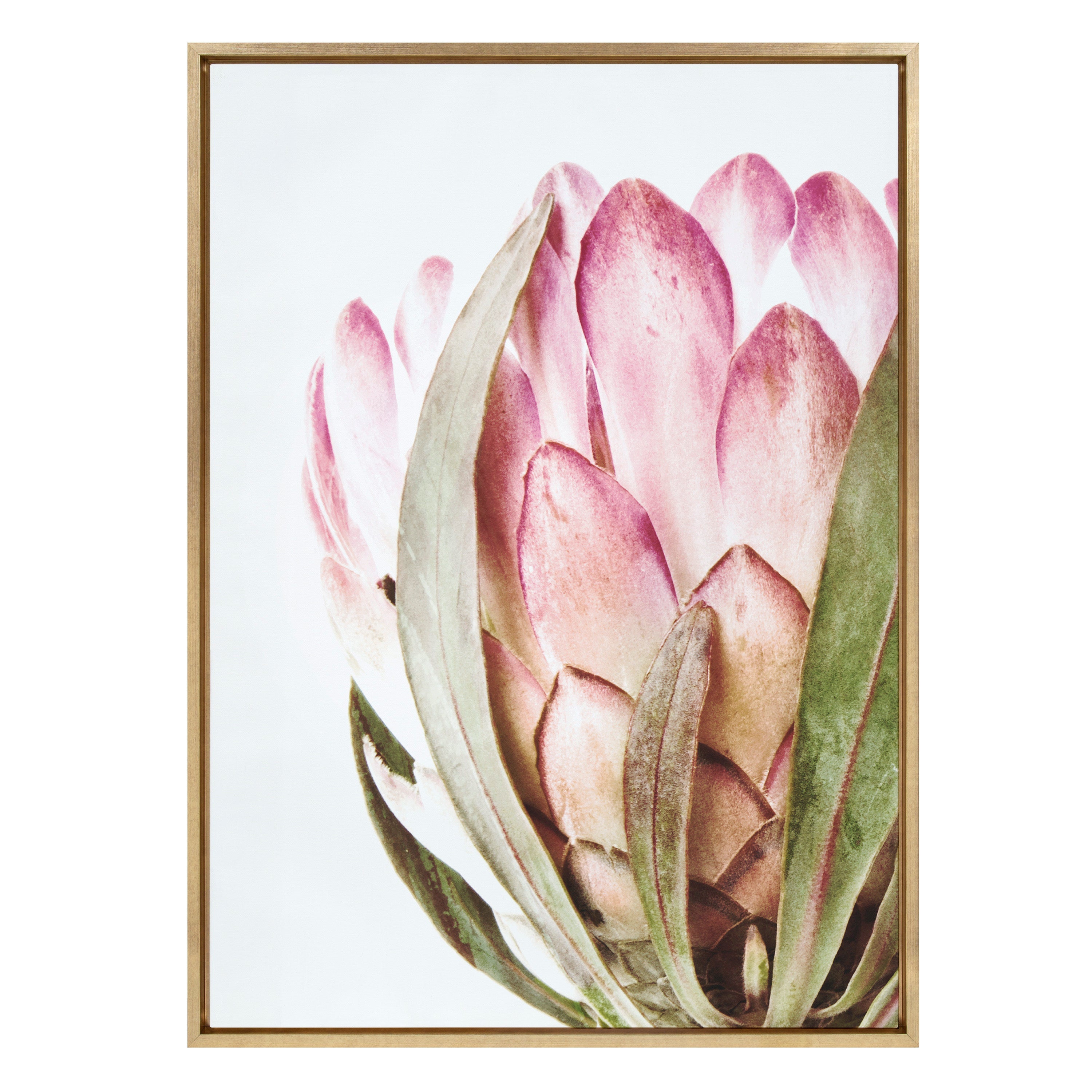 Sylvie Pink Protea Flower Framed Canvas by Amy Peterson by kateandlaurel - product image 8 for Resin Society