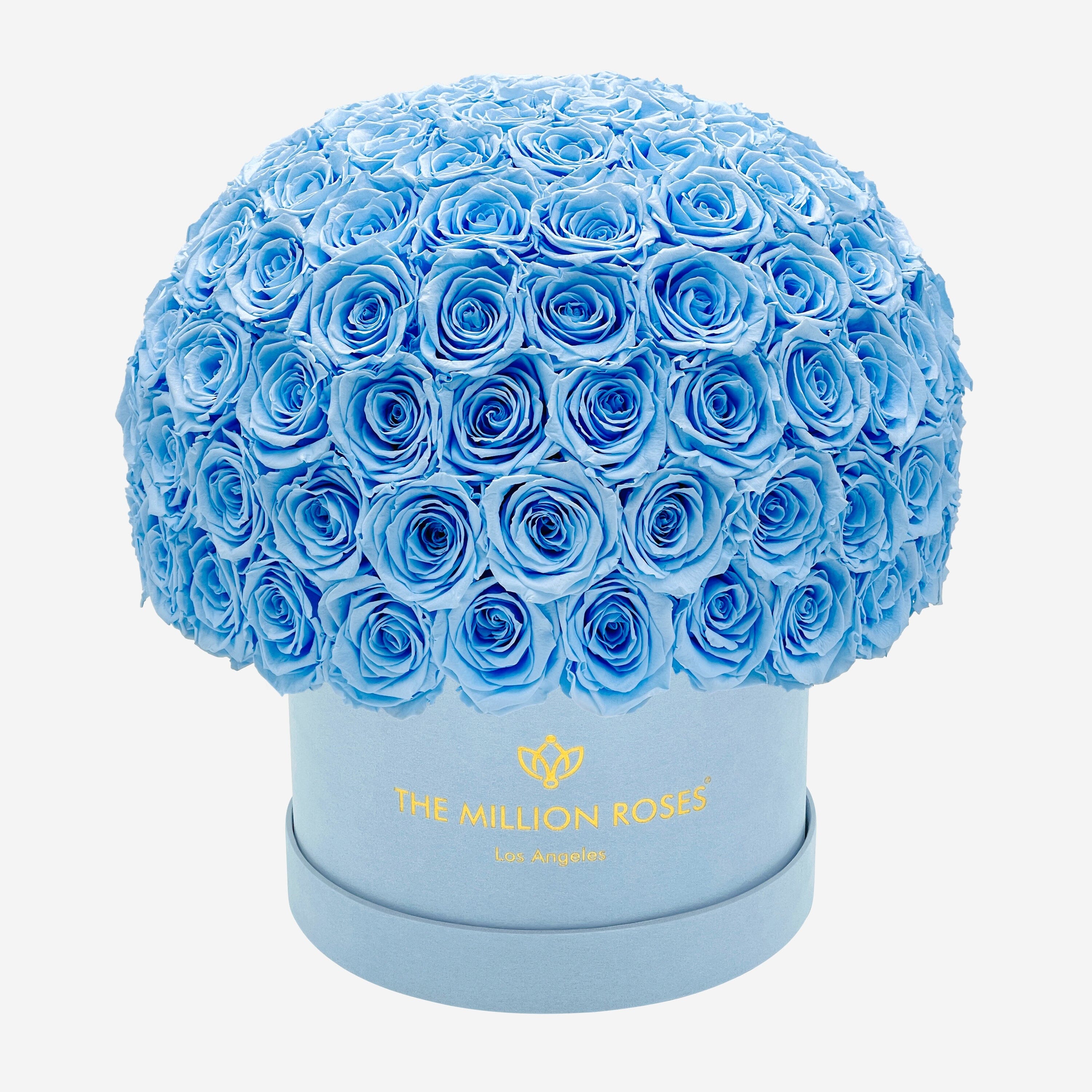 Supreme Light Blue Suede Superdome Box by The Million Roses - product image 6 for Resin Society
