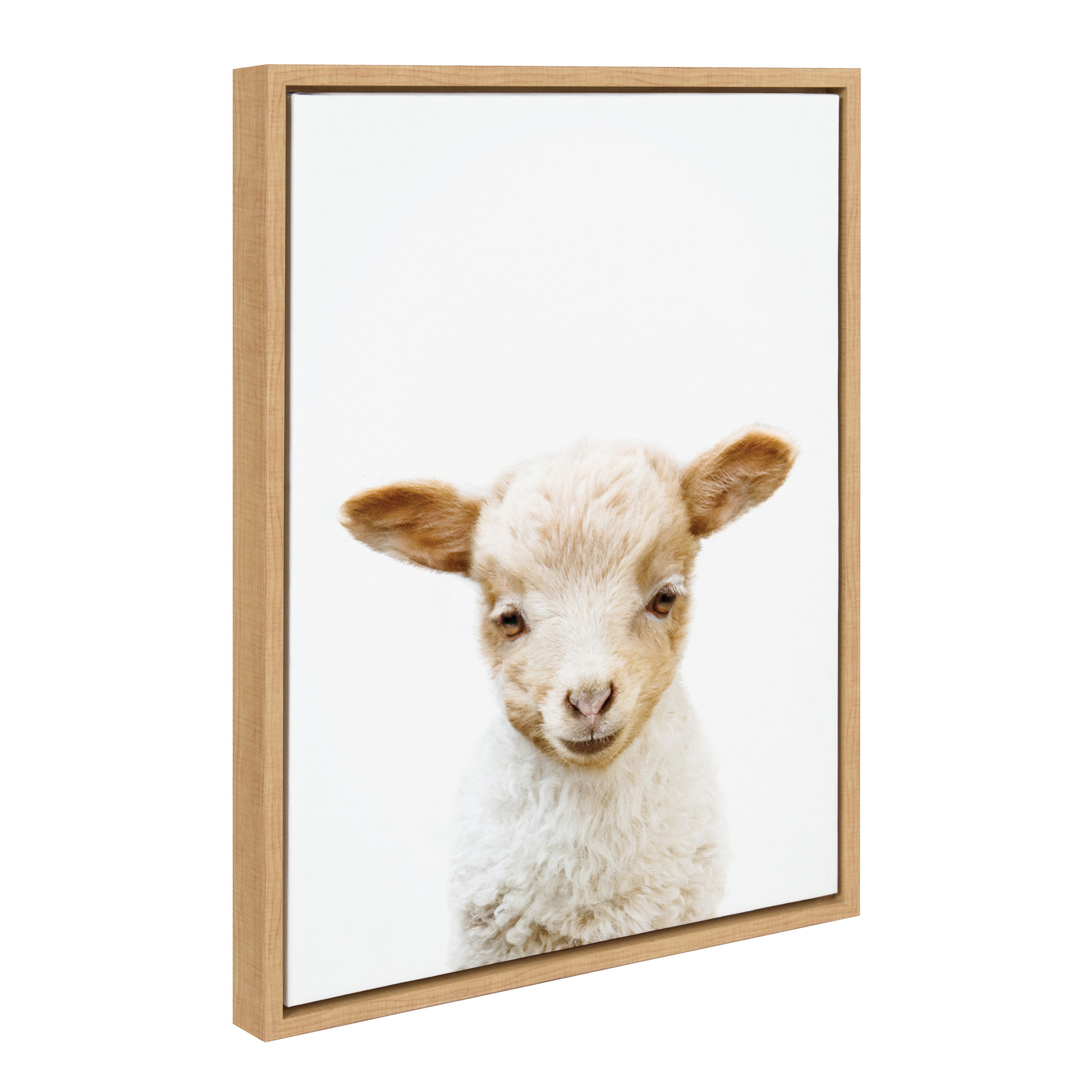 Sylvie Animal Studio Lamb Framed Canvas by Amy Peterson Art Studio