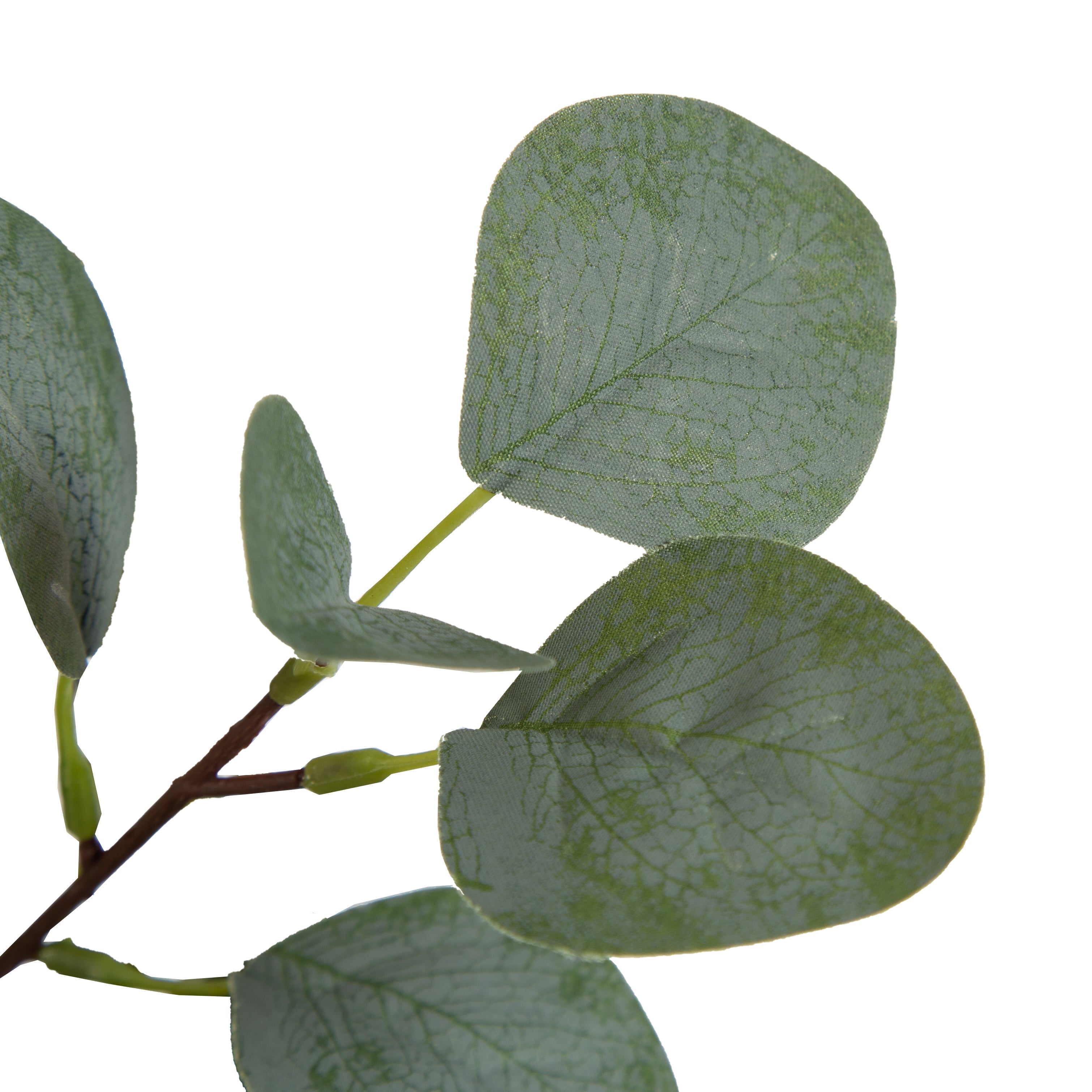 Eudora Faux Eucalyptus Tree - Kate and Laurel