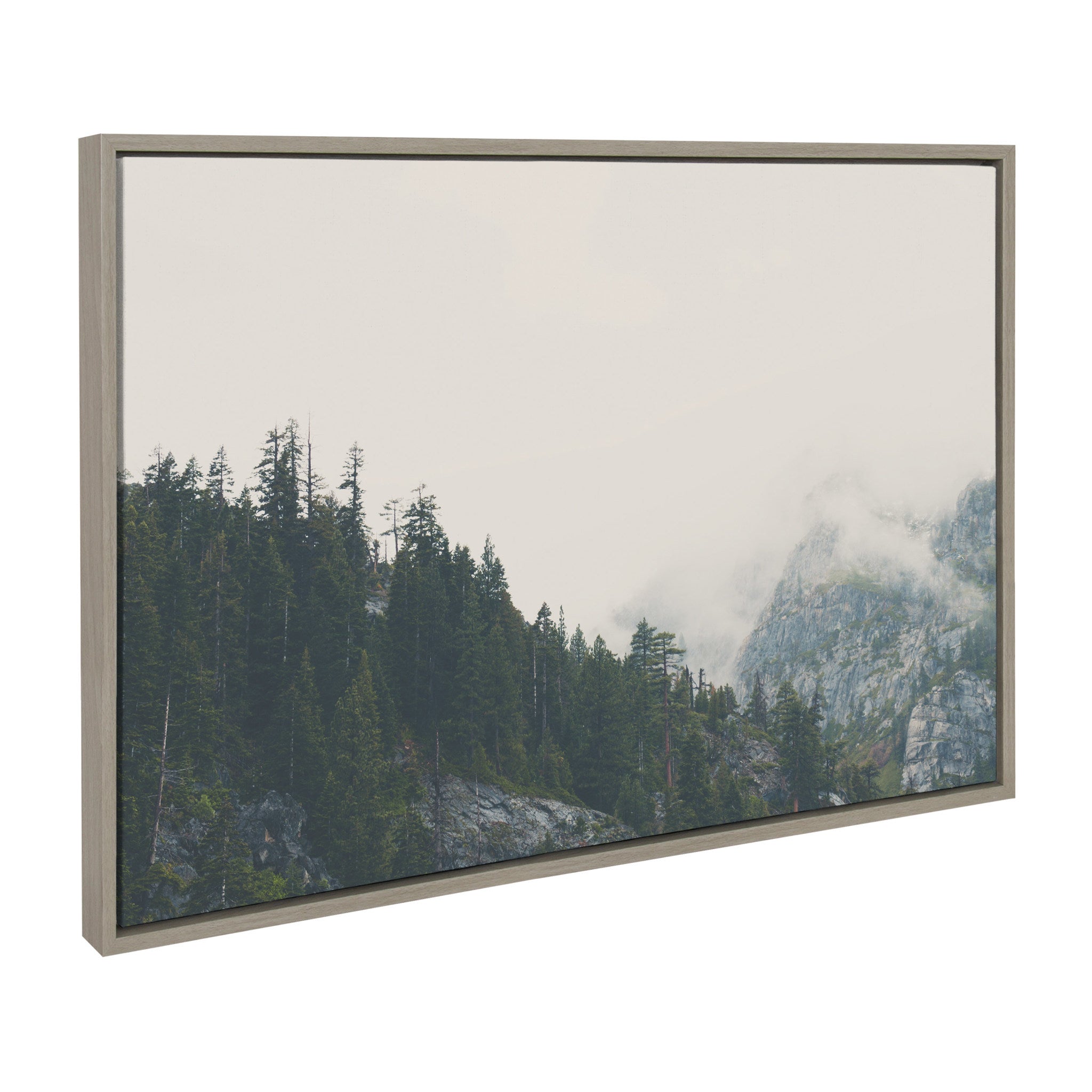 Sylvie The Power of Imagination Framed Canvas by Laura Evans by kateandlaurel - product image 2 for Resin Society