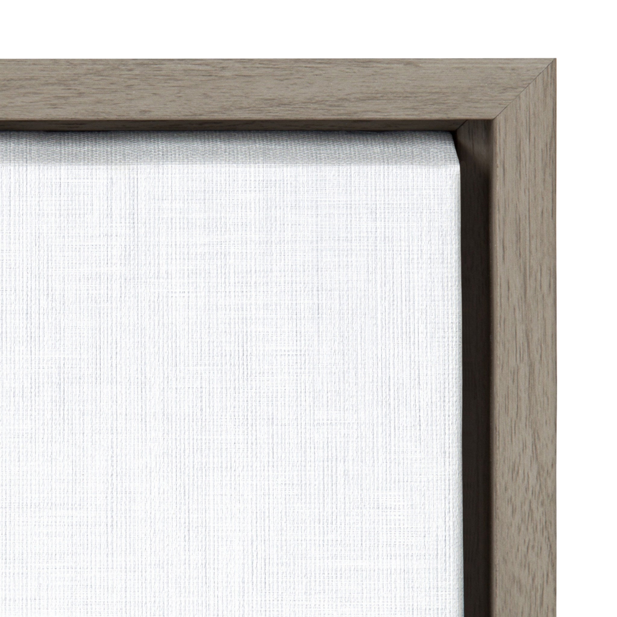Sylvie Sloth Color Framed Canvas by Simon Te of Tai Prints